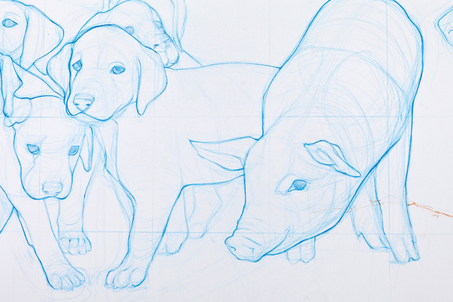 Border Species, (detail)