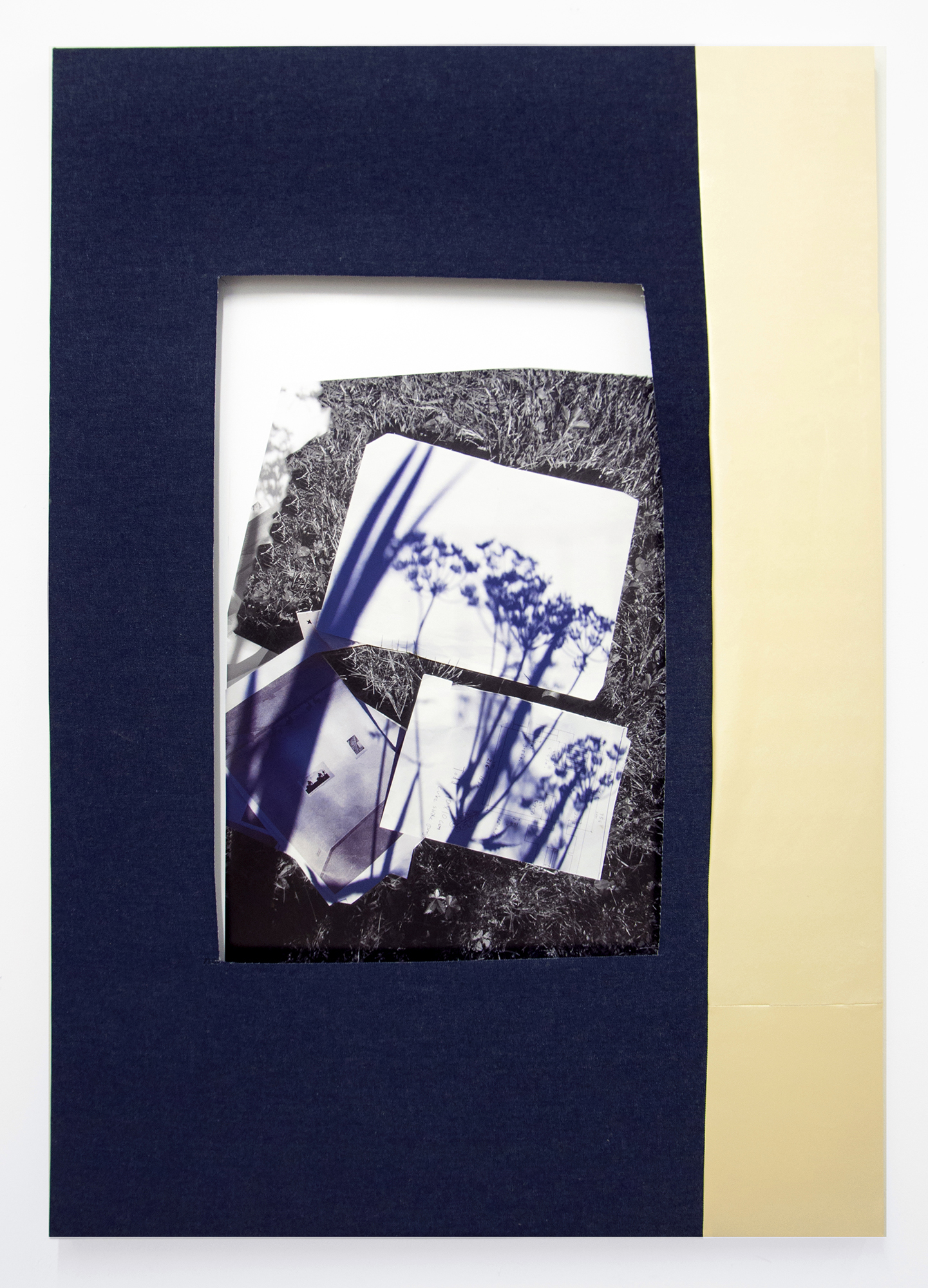 "Pencil of Nature", Mounted pigment print, denim, vinyl, acrylic gel medium, thread, 64 x 44 inches