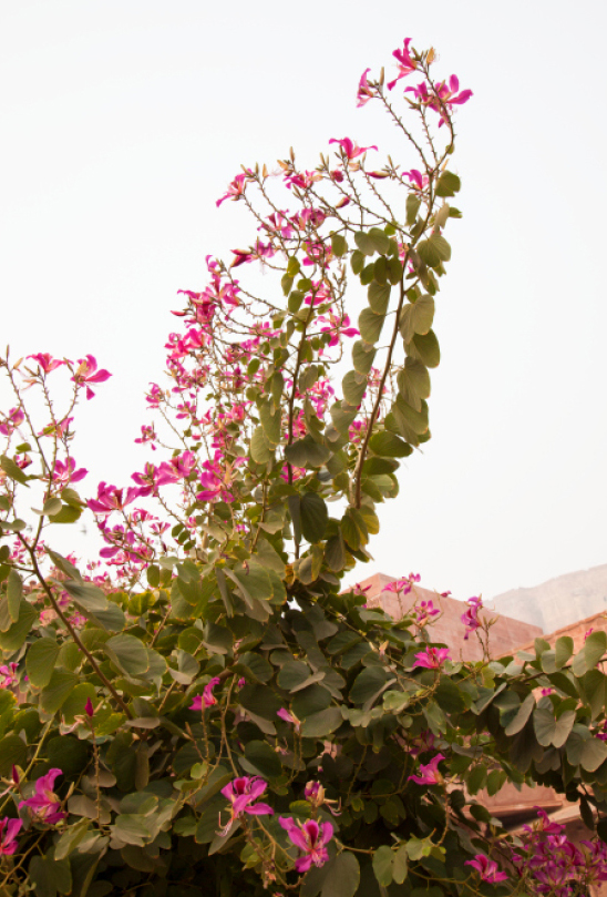 Scrapbook #2, 2014_1/39