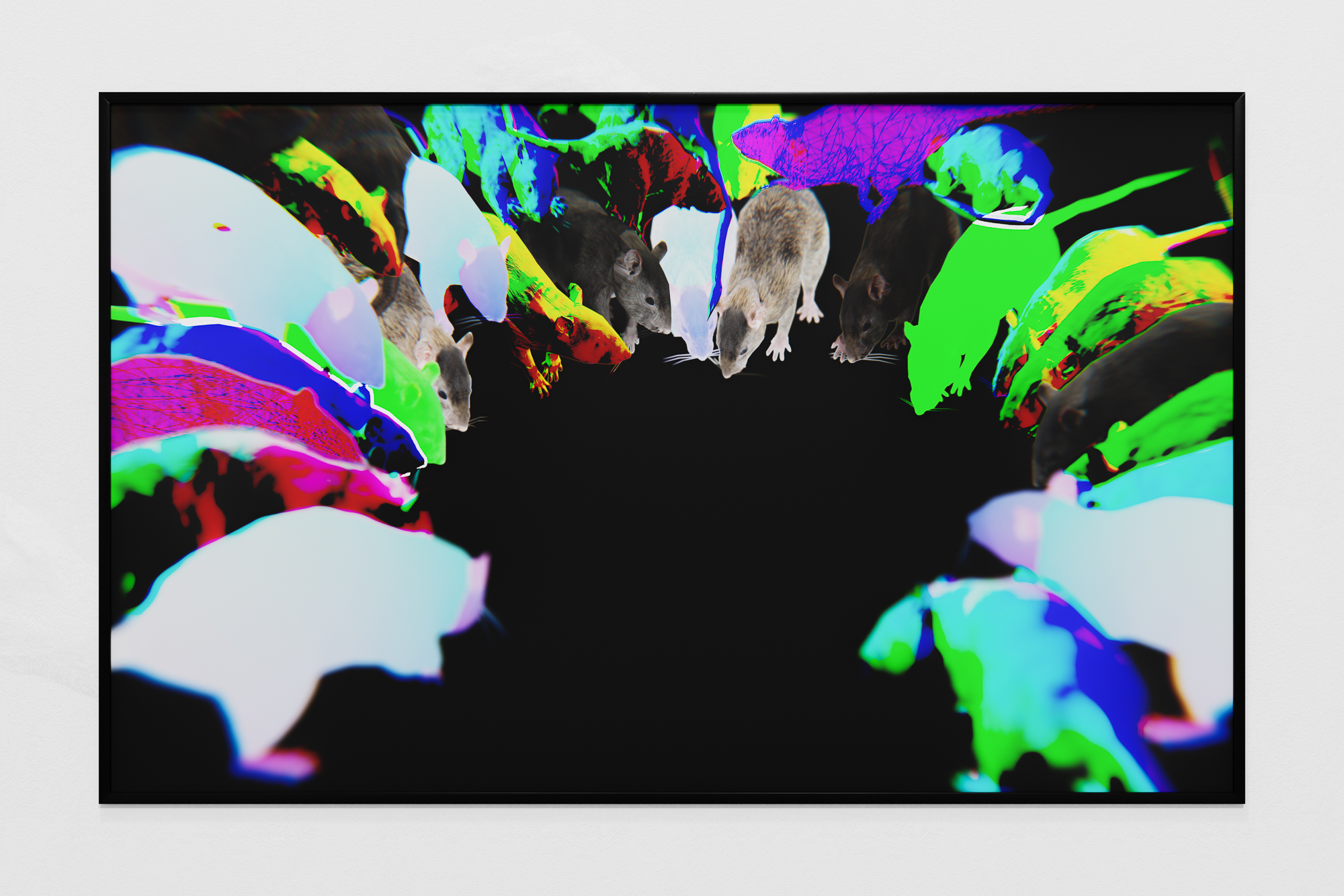 Like rats in the walls of the world, 2022, inkjet print, 26 x 43 in. (66 x 109 cm)