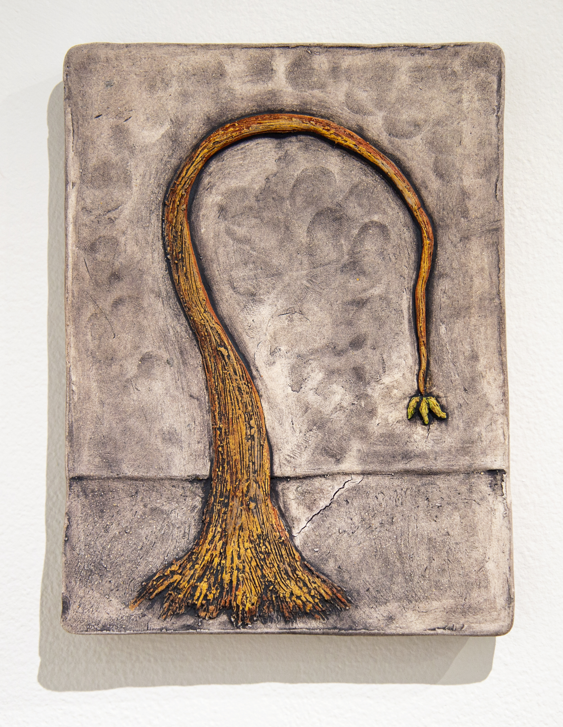 decay - within a dying tree, seed pods provide rebirth