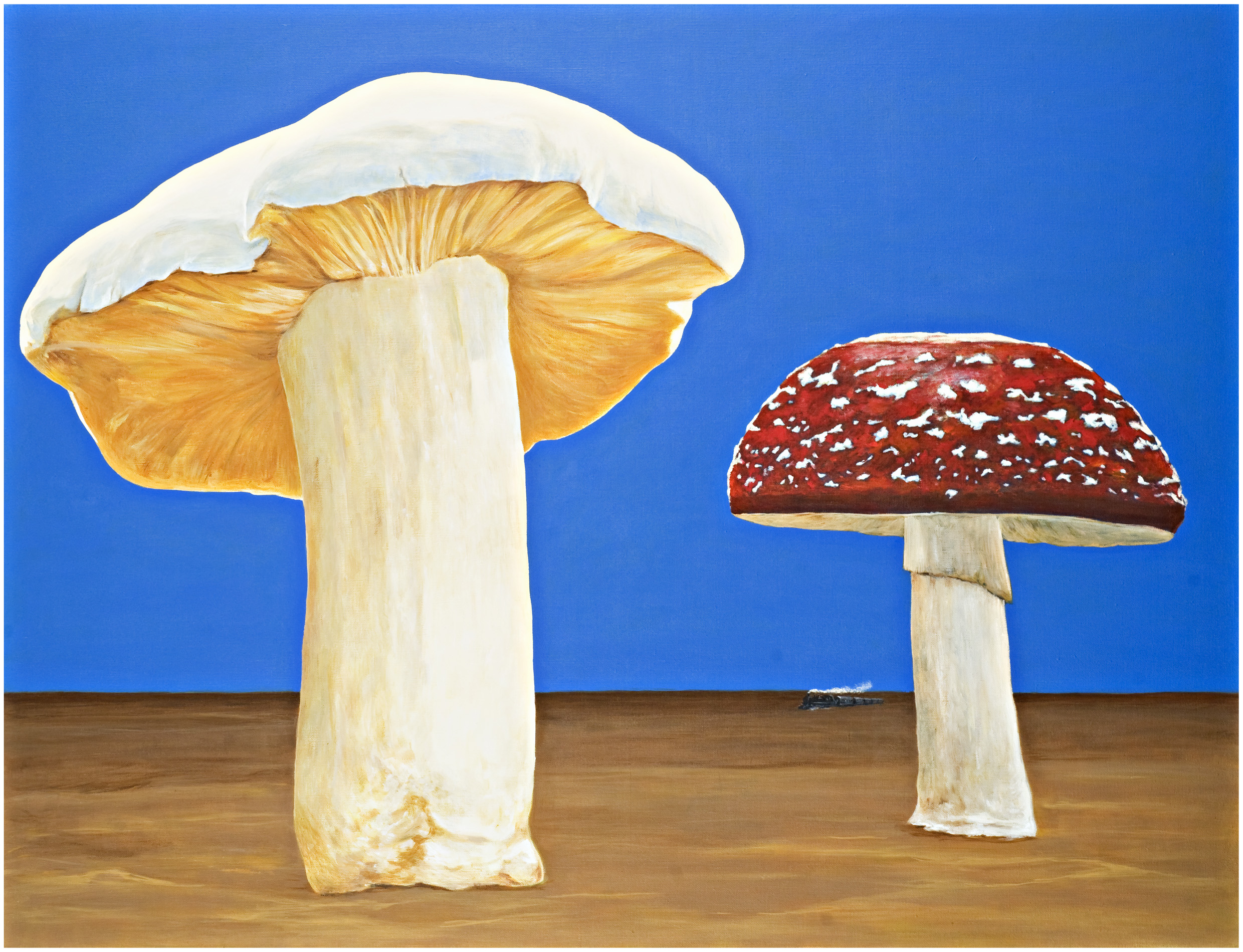 Tomorrow never knows