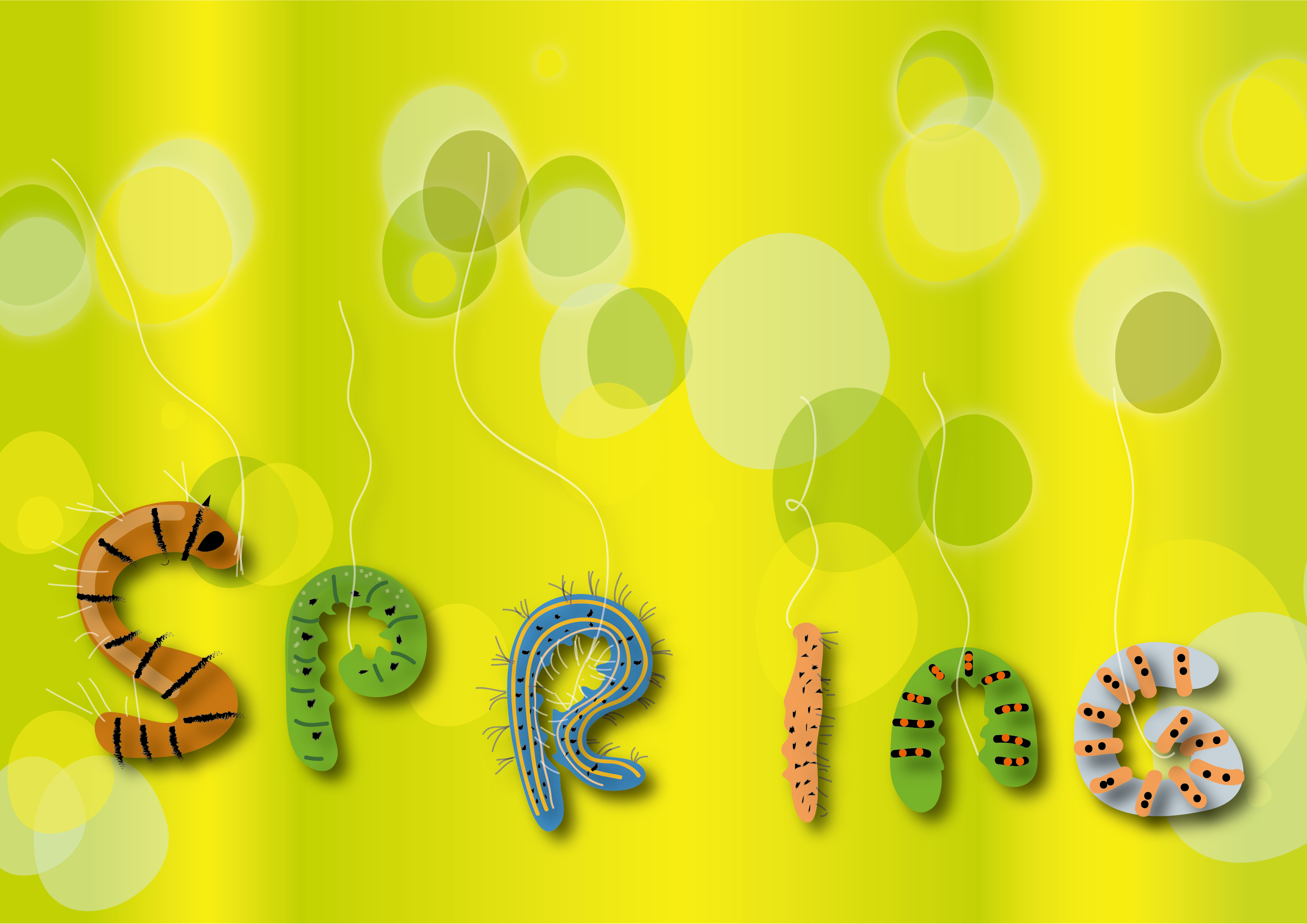 personal project-spring