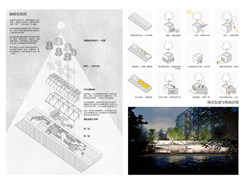 树在头顶，书在手中二年级