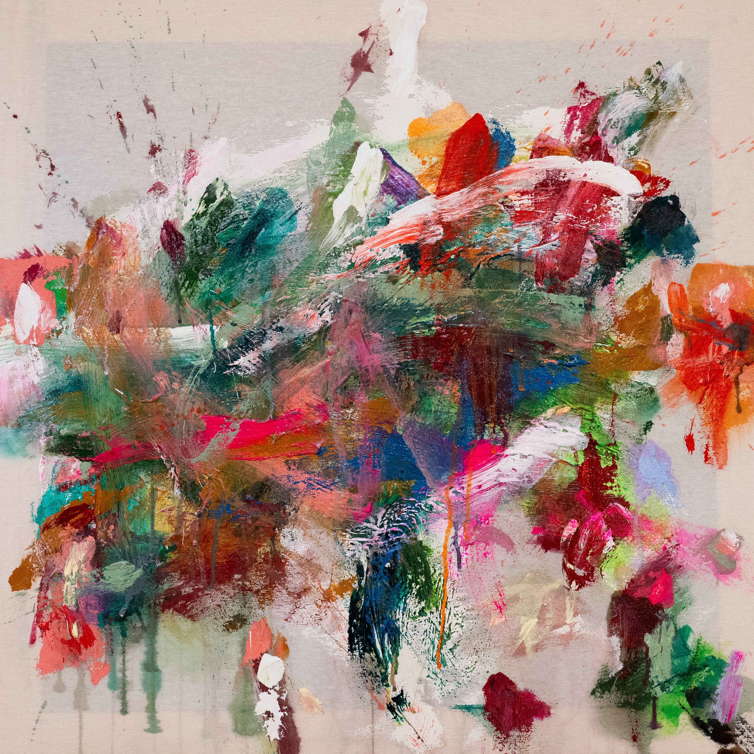  'Studi in Verde e Rosa' 2025