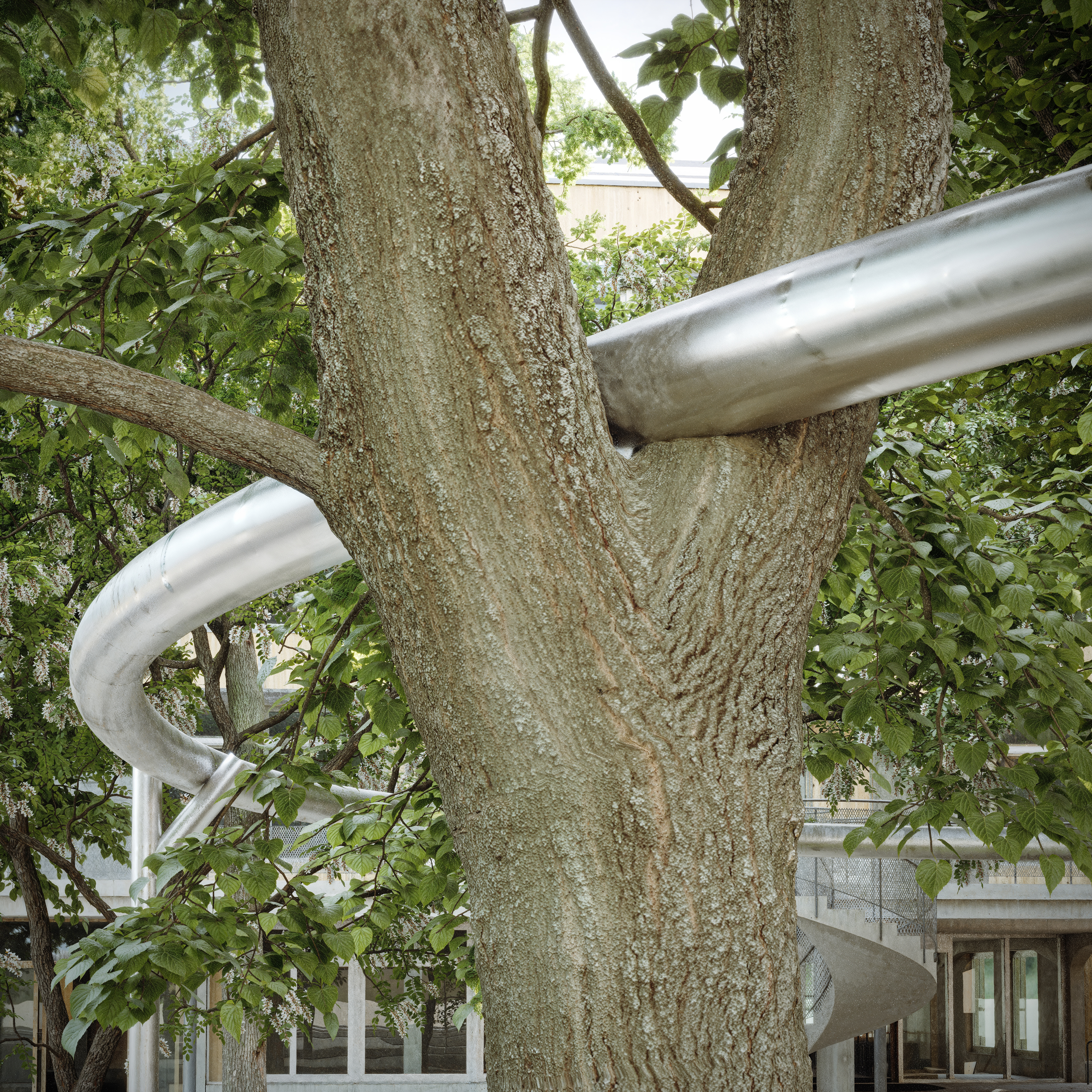 Karsten F&ouml;dinger - 1. Preis Schulanlage Entlisberg, Z&uuml;rich