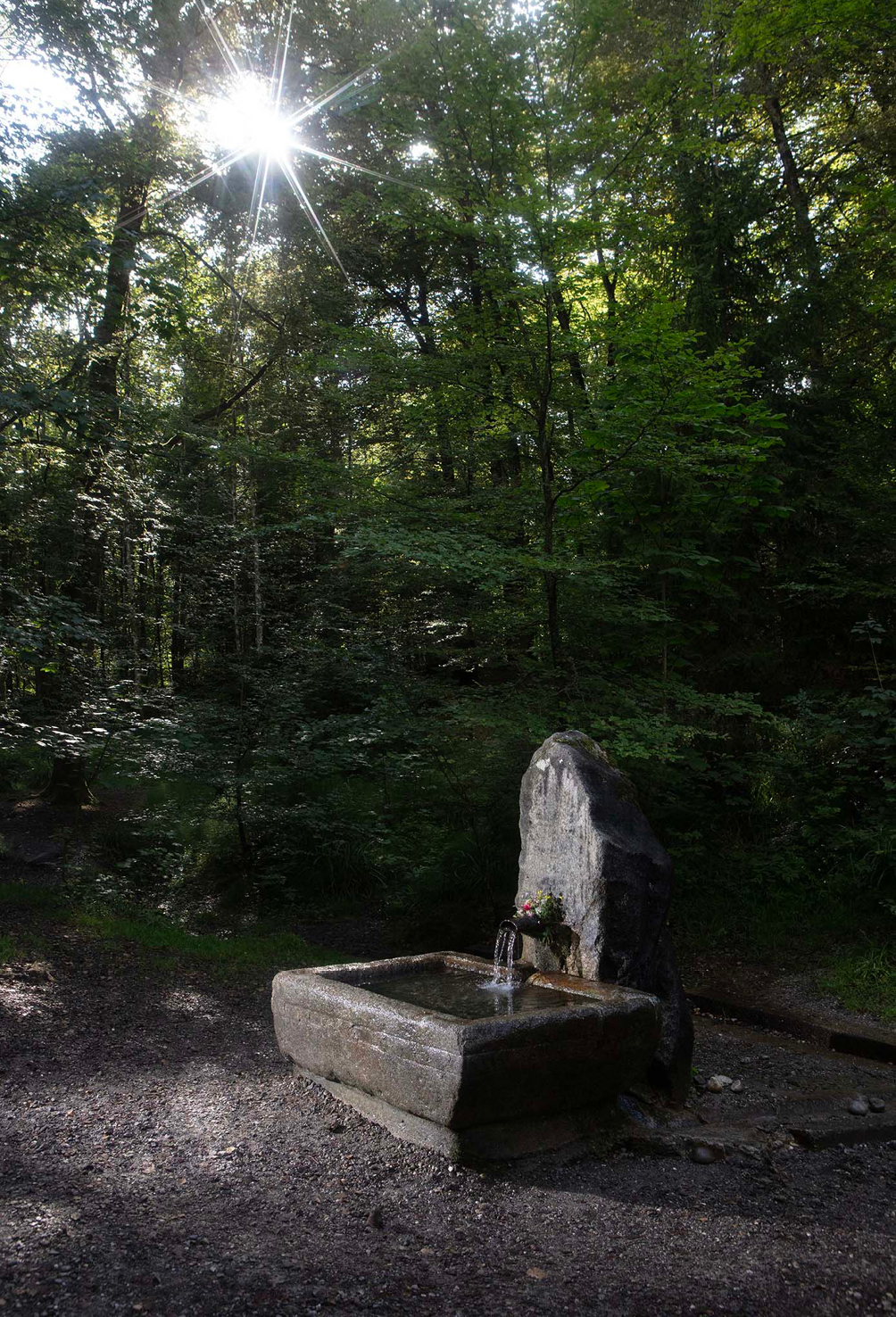 RAF STUDIO_ FELIPE RIBON_ MUDAC_PROHELVETIA_PHOTOGRAPHY