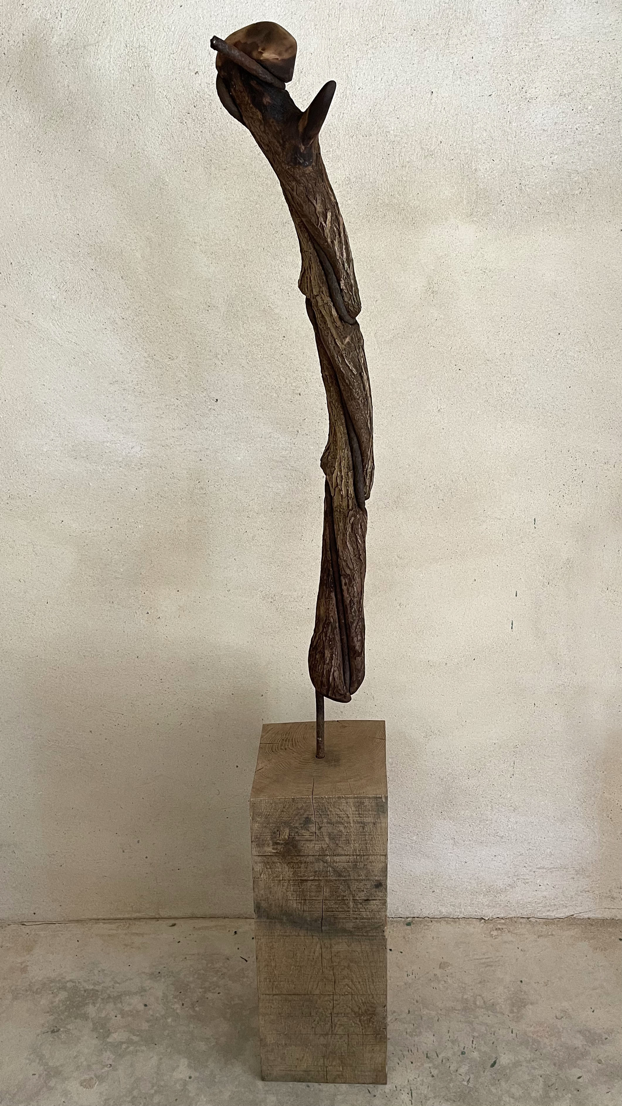 Warped Staff, wood, steel, 150 x 20 x 25 cm