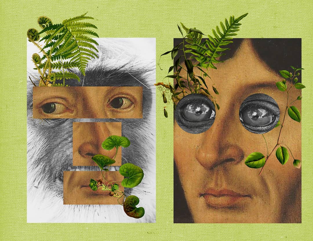 Margarita Vera Antequera