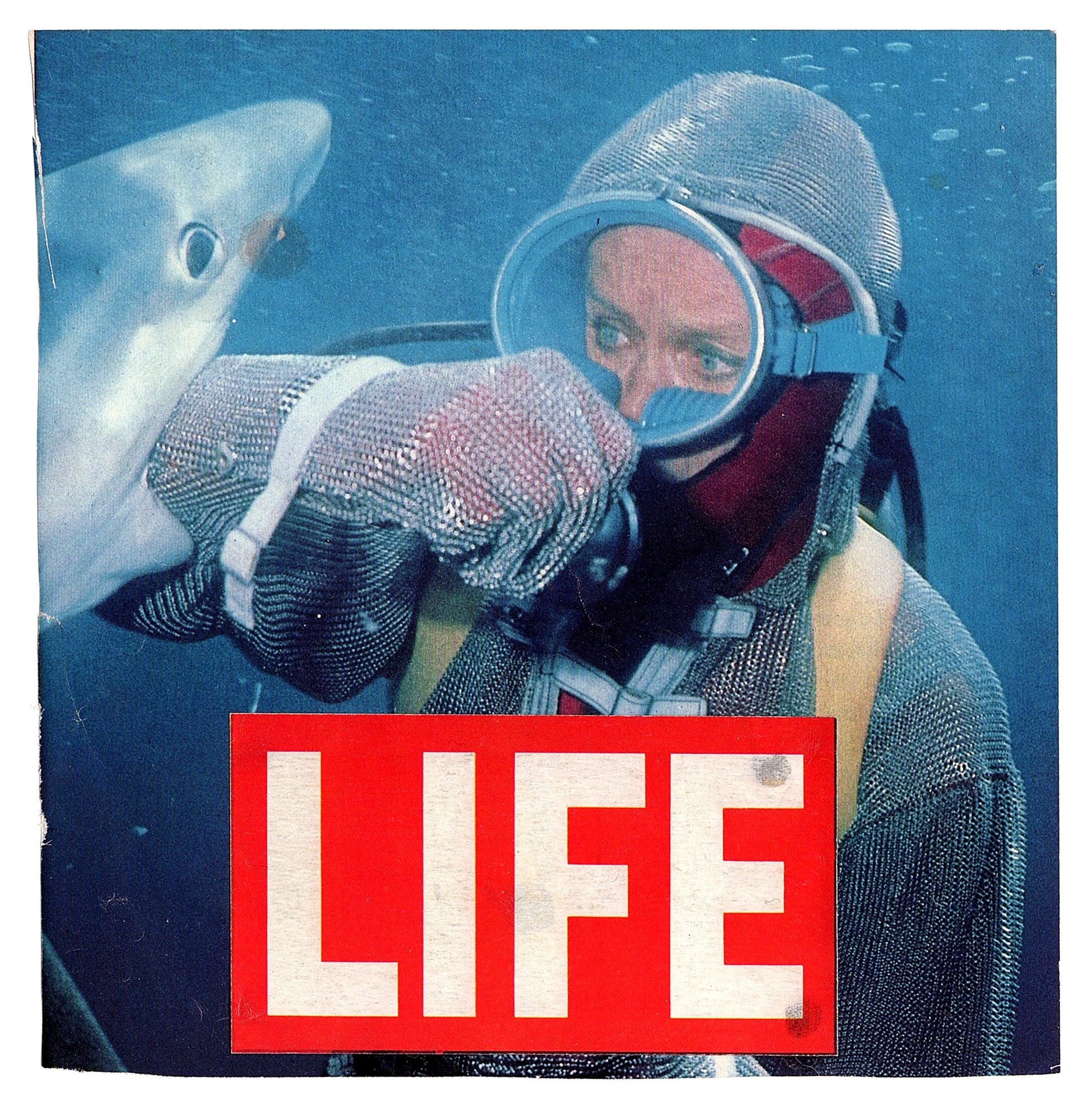Shark, 2024, photomontage, 20 x 20 cm