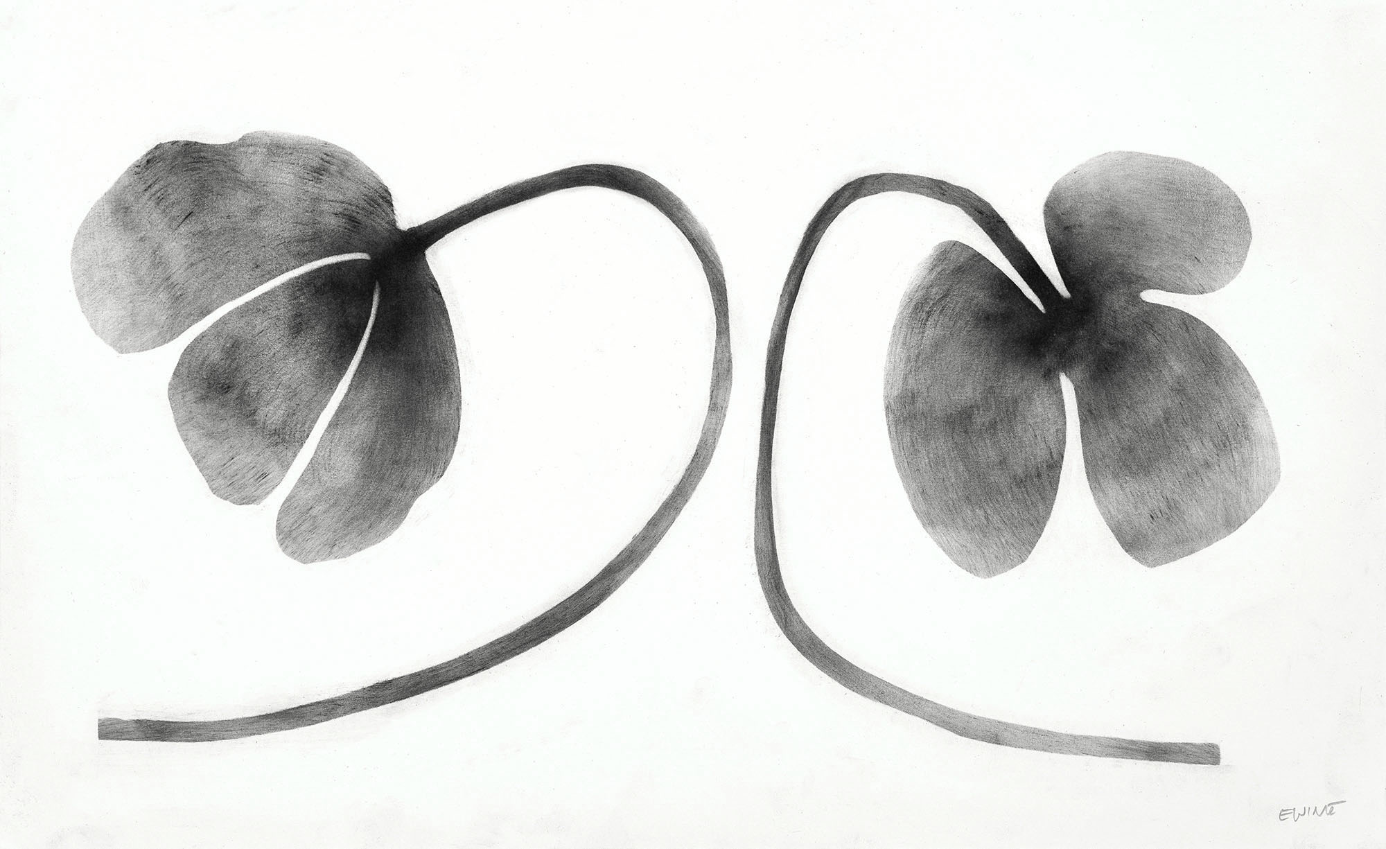 № 44 - 17 x 11" - $600