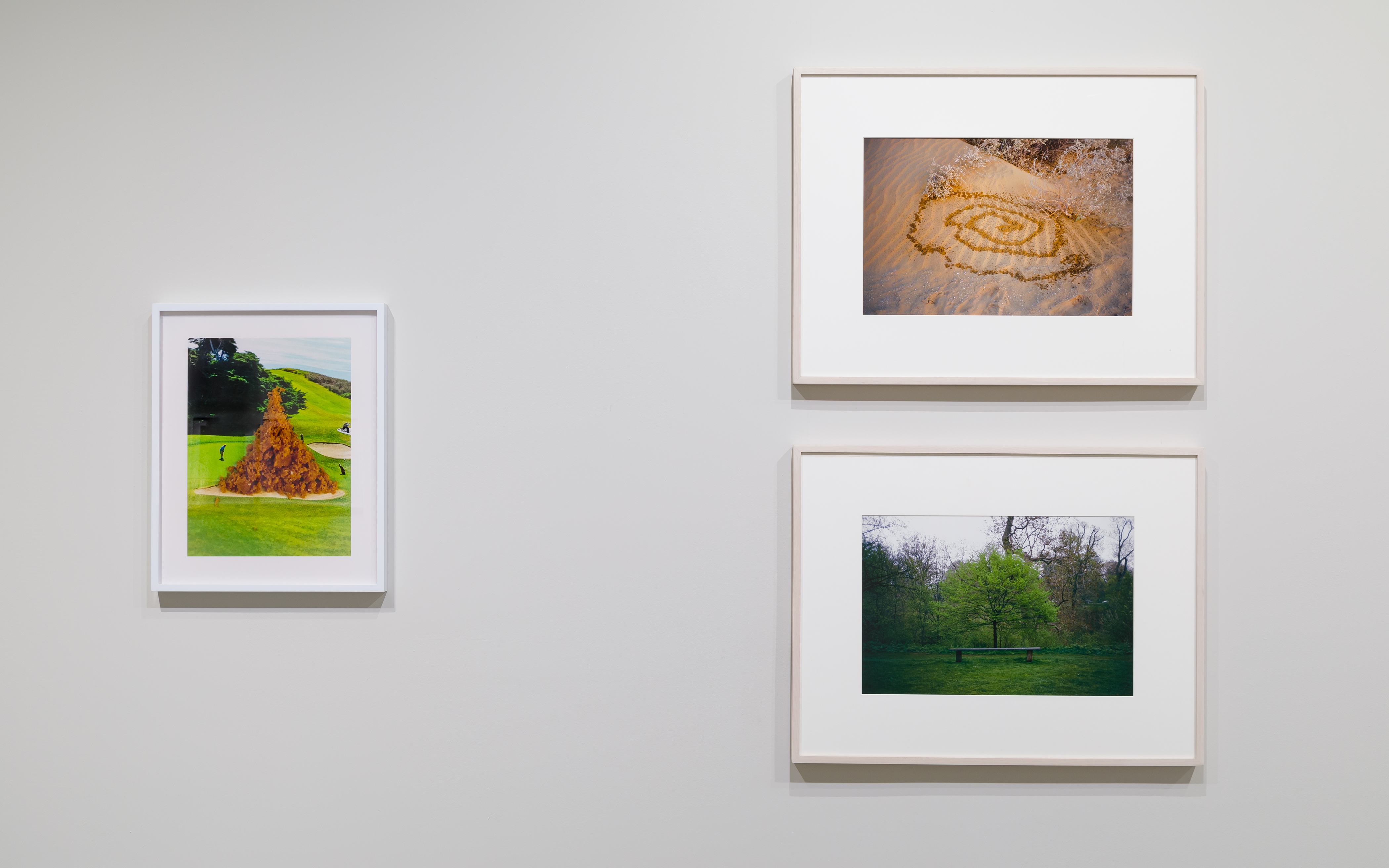 From left: Nina Katchadourian, "Earthwork," 2019 ("Seat Assignment" project, 2010 and ongoing), C-print, Edition of 8 + 2AP; edition X/8, 19 x 15 1/4 inches. Gabriel Orozco, "Spiral Pee Pee," 2005, C-print, 16 x 20 inches. Gabriel Orozco, "Tree Bench," 1996, C-print, 12 7/8 x 18 5/8 inches. 