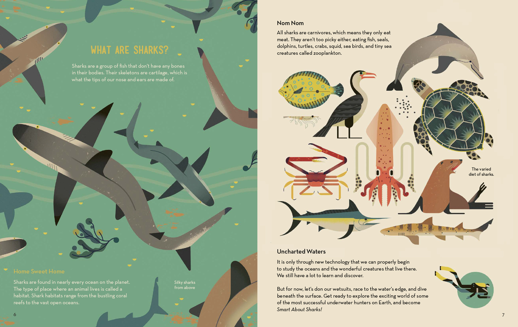 Smart about Sharks — Owen Davey Illustration