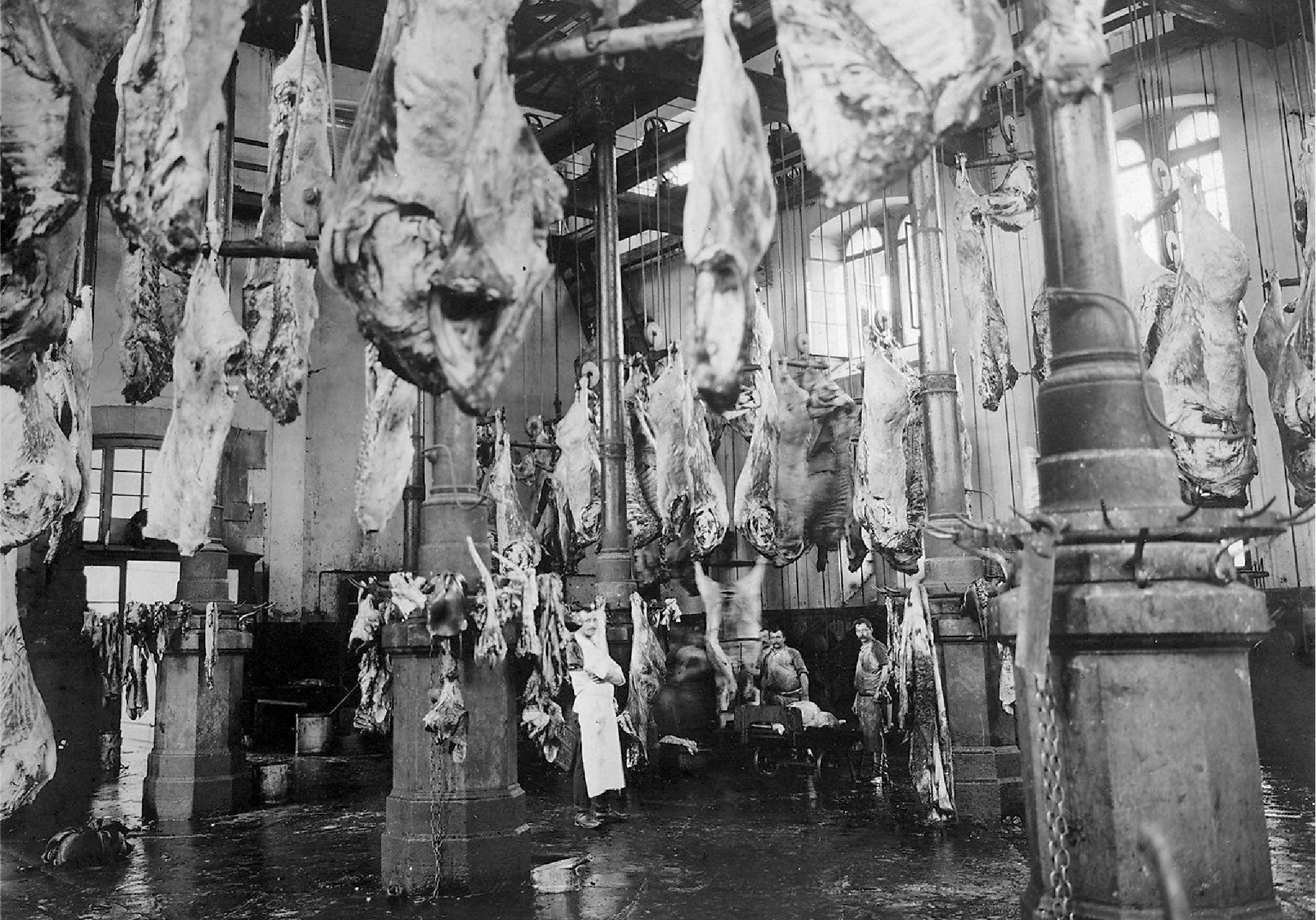 Grossvieh slaughterhall with cable winches to help the workers, at former location of the Schlachthof Zürich, Walche, 1900. Source: Baugeschichtliches Archiv der Stadt Zürich.