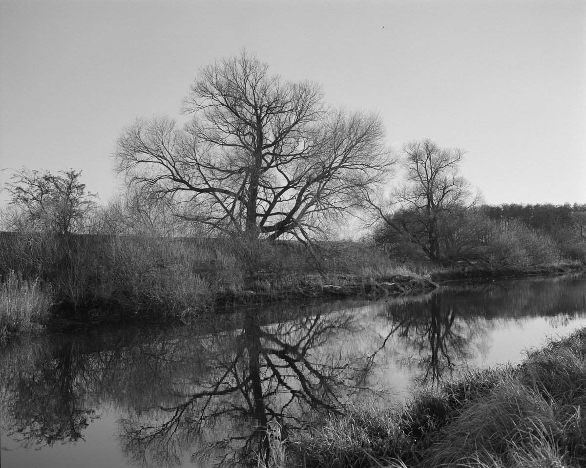 Some Of These Days (2025)