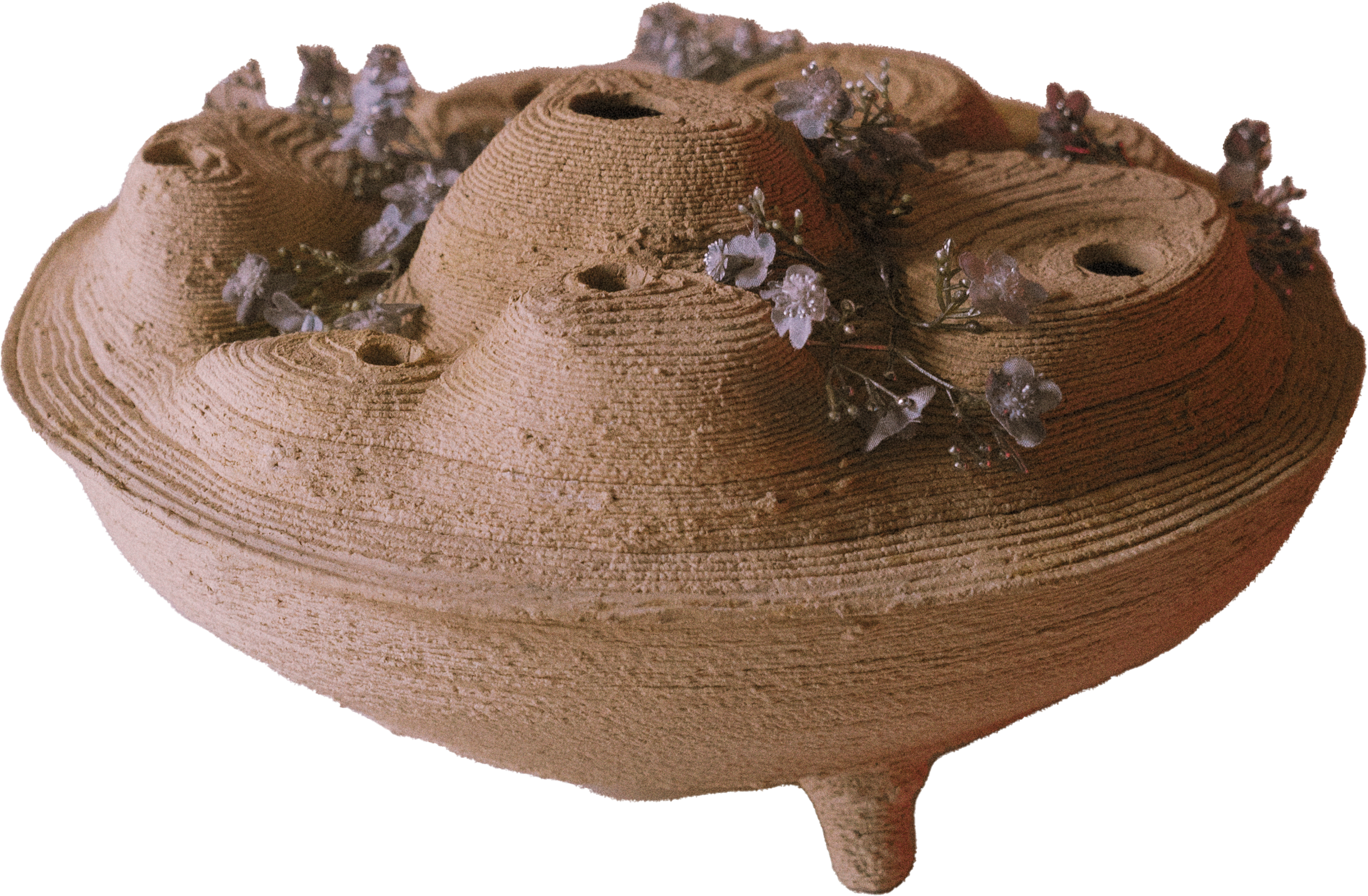 non_fungible_child.sculpt