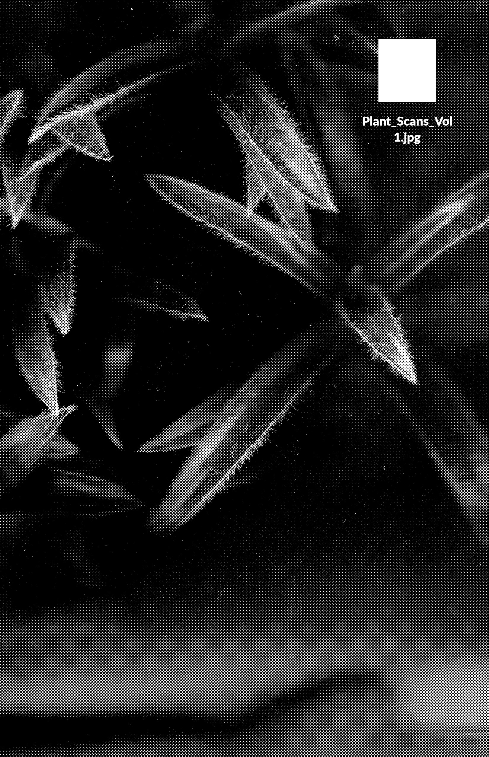 Plant_Scans_Vol1.jpg