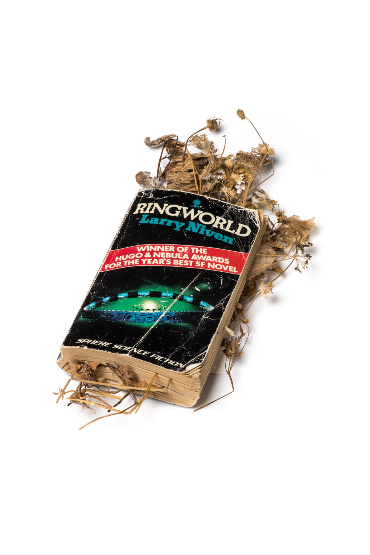 Sci Fi / Wildflowers