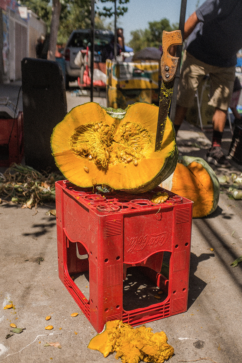 Testimonial Spaces 17th Biennale di Venezia