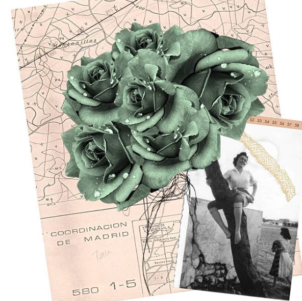 Margarita Vera Antequera