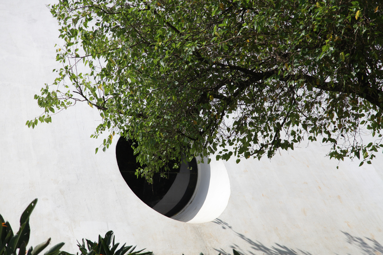 Ibirapuera Park Sao Paulo 