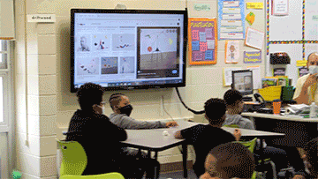 observing Alexander Calder