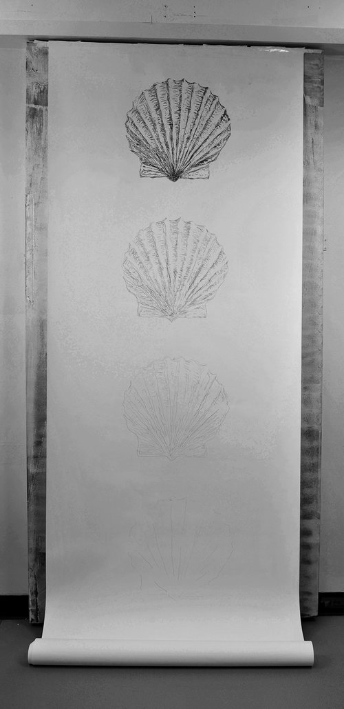 Going, going, going, gone, Scallop, 2013