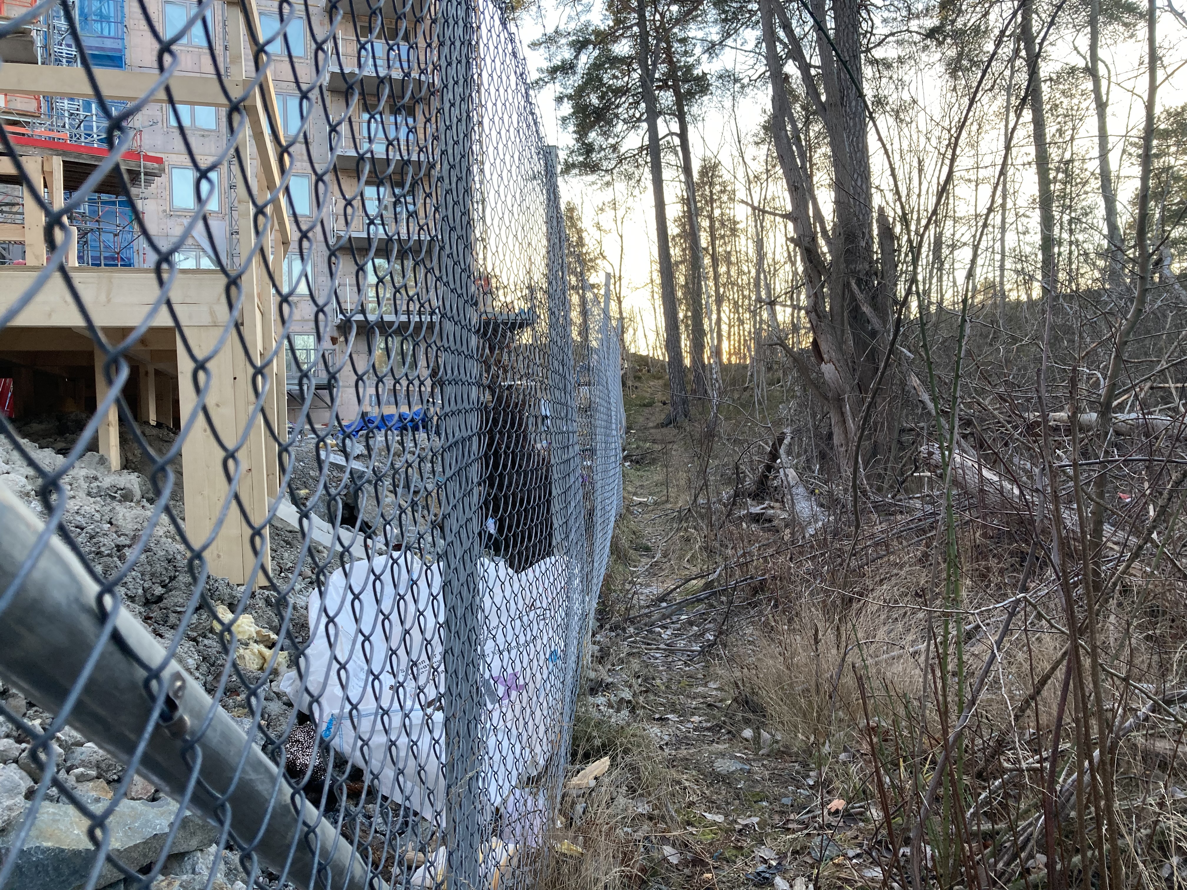 Stängsel mellan Sätraskogen och bygget av bostadsrätterna "Panorama". Foto: Stella d'Ailly