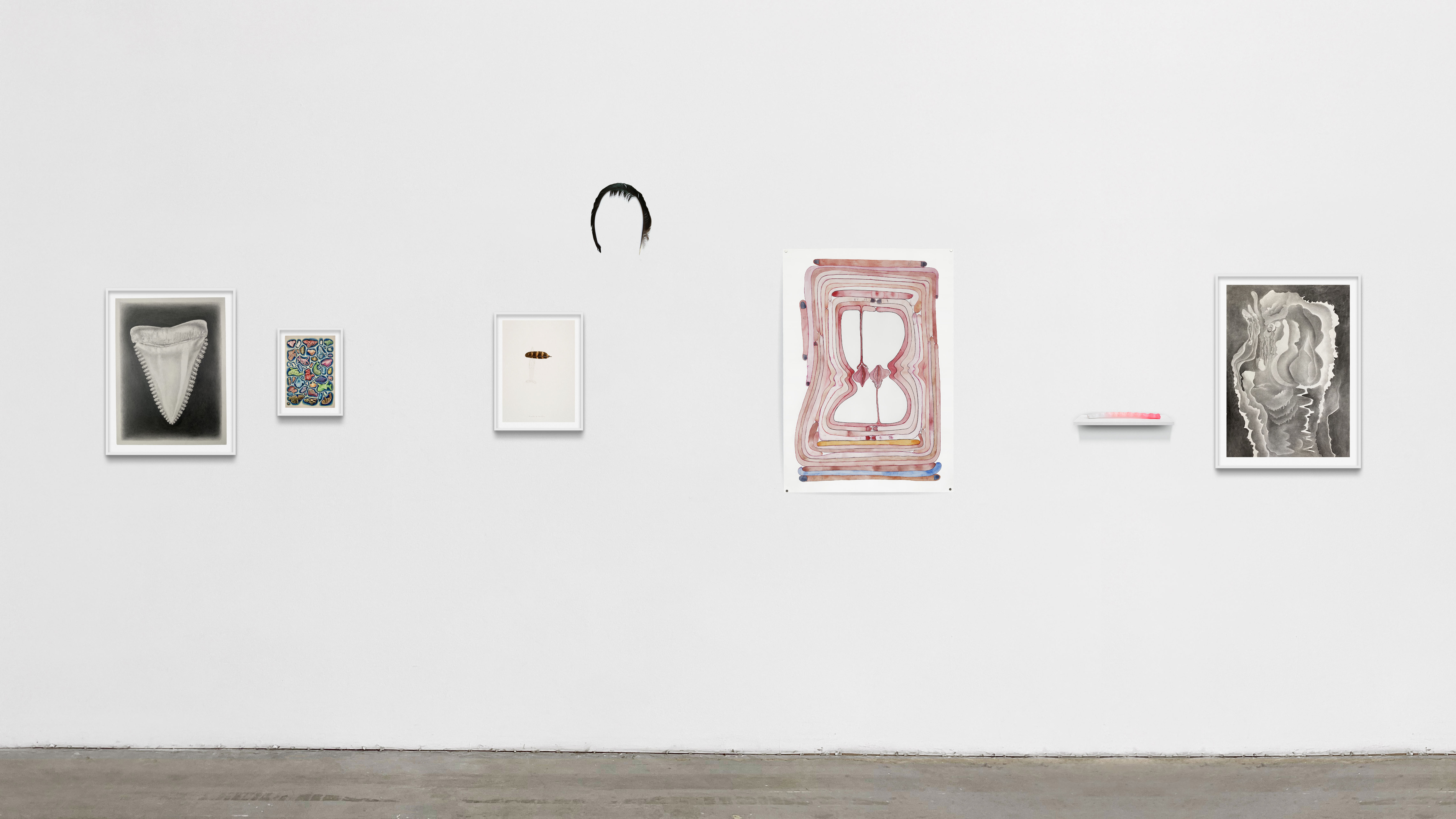  BIANCOMURO 6   — décembre 2024