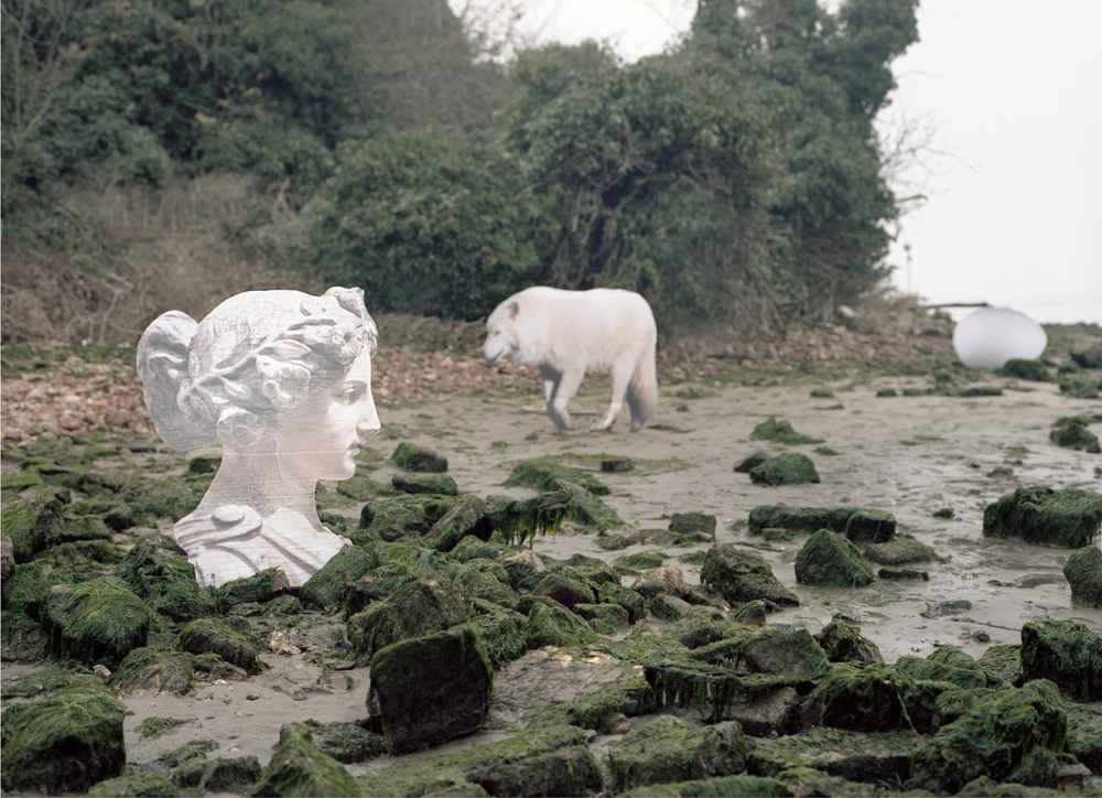 Rachele Maistrello, The Island, C-print from 4,5 x 6 cm negative, 50cm x 70cm, 2016, ed. of 3 plus 2AP