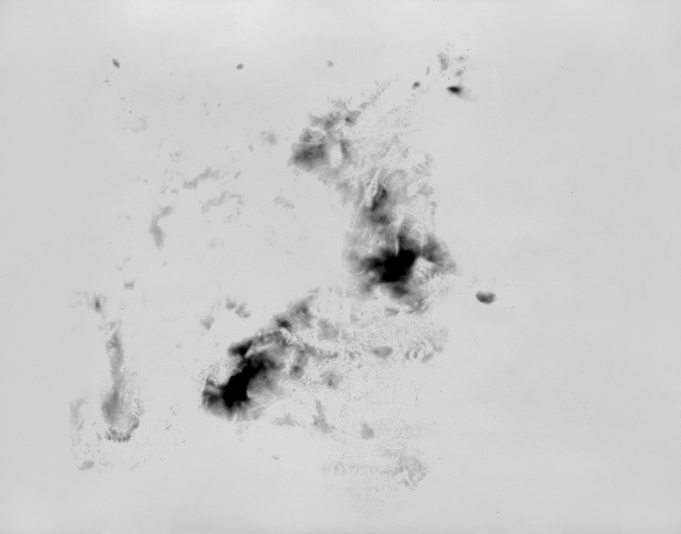 silver gelatin print