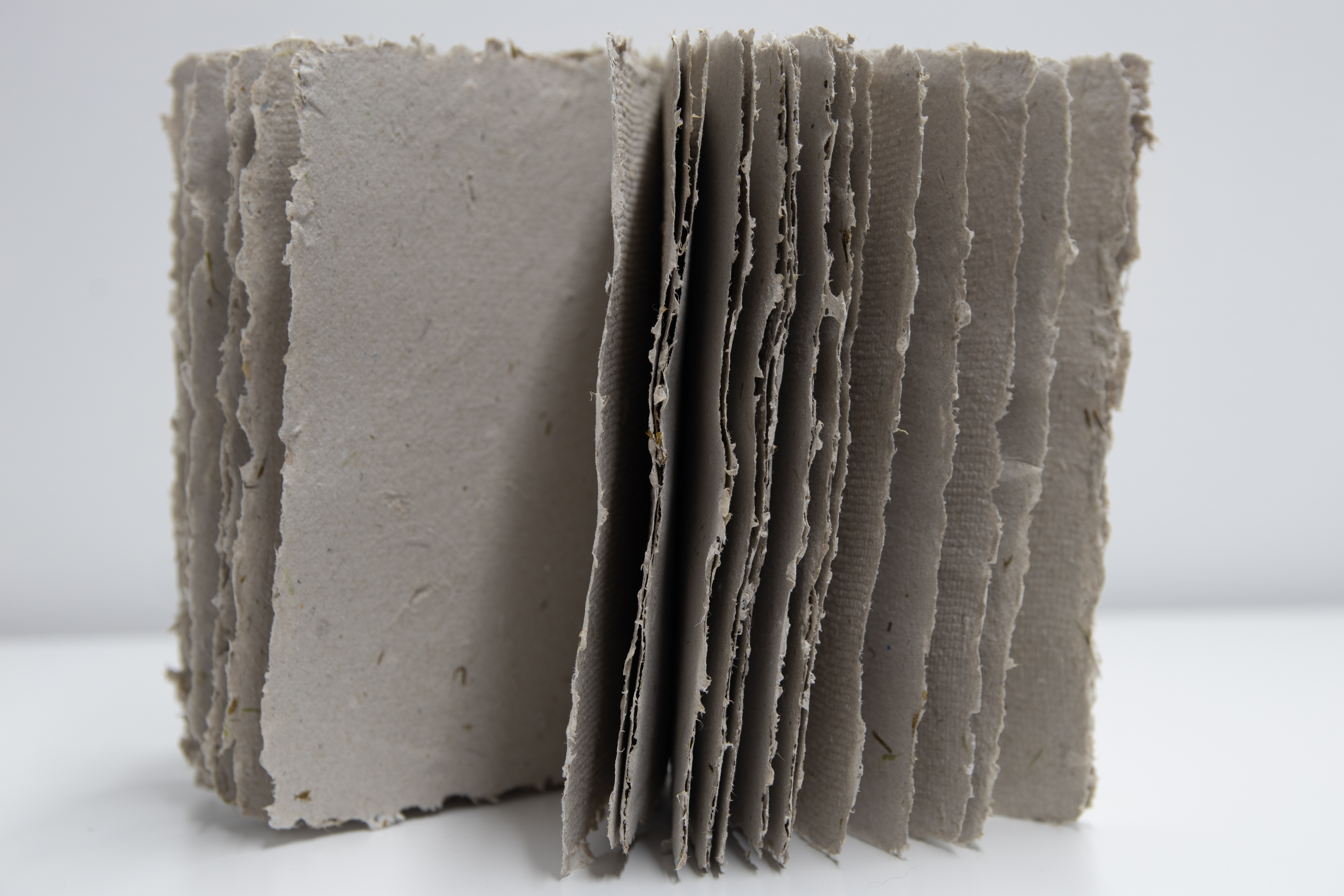 french-link stitched, 30 page, 4x6", artist-made paper from local plants & repurposed cardboard