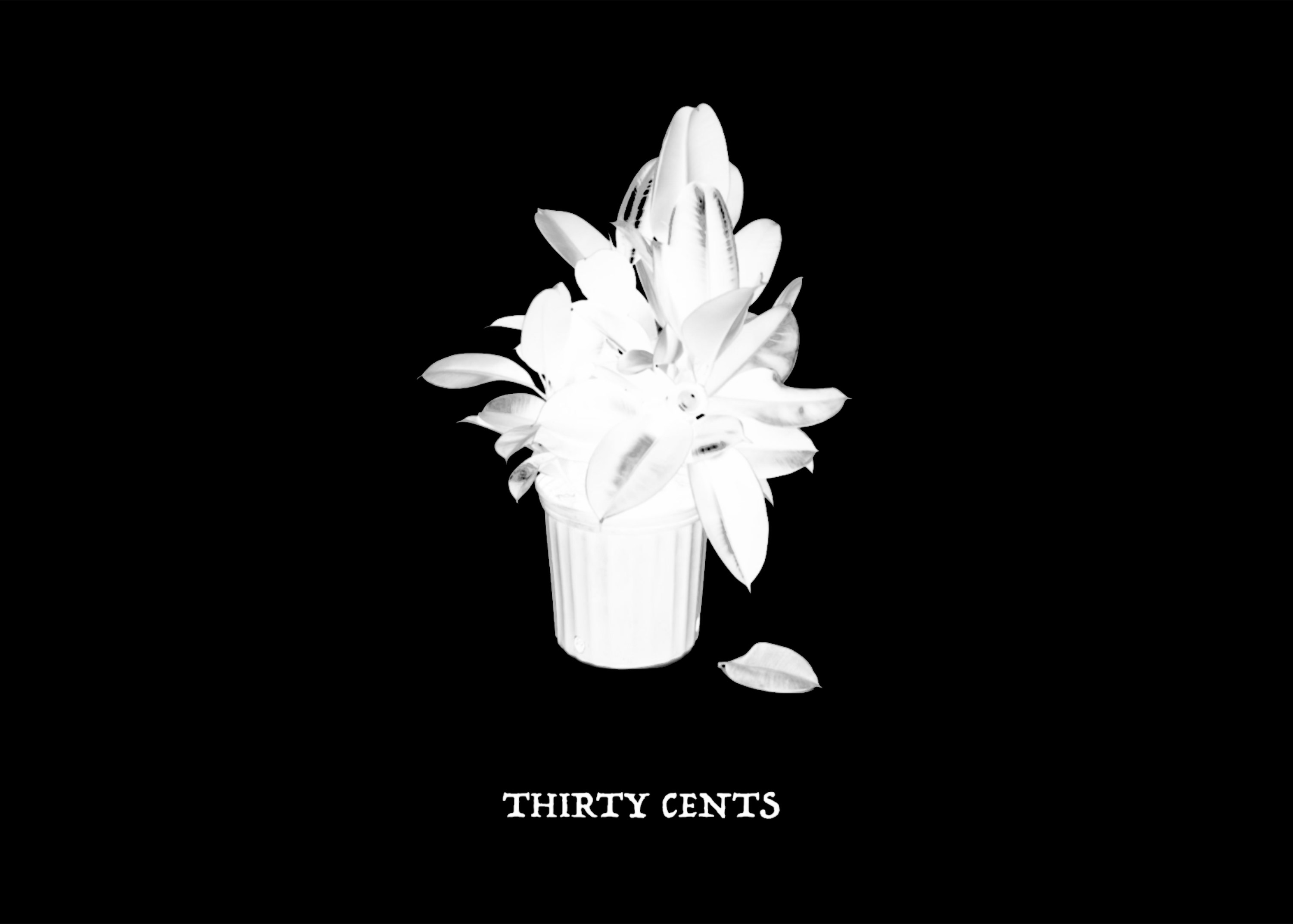 2021   |   "Thirty cents, fifty cents..."