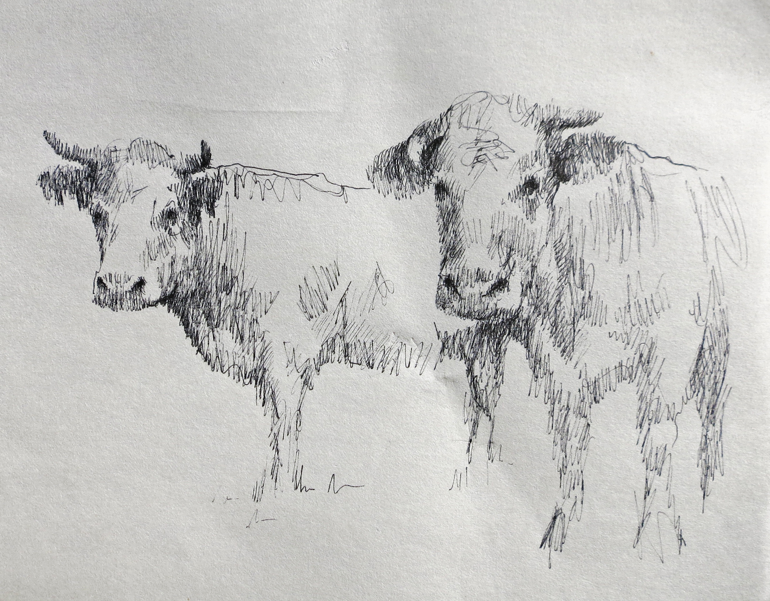  Ink on paper &ndash; 8&rdquo; x 11&rdquo; 