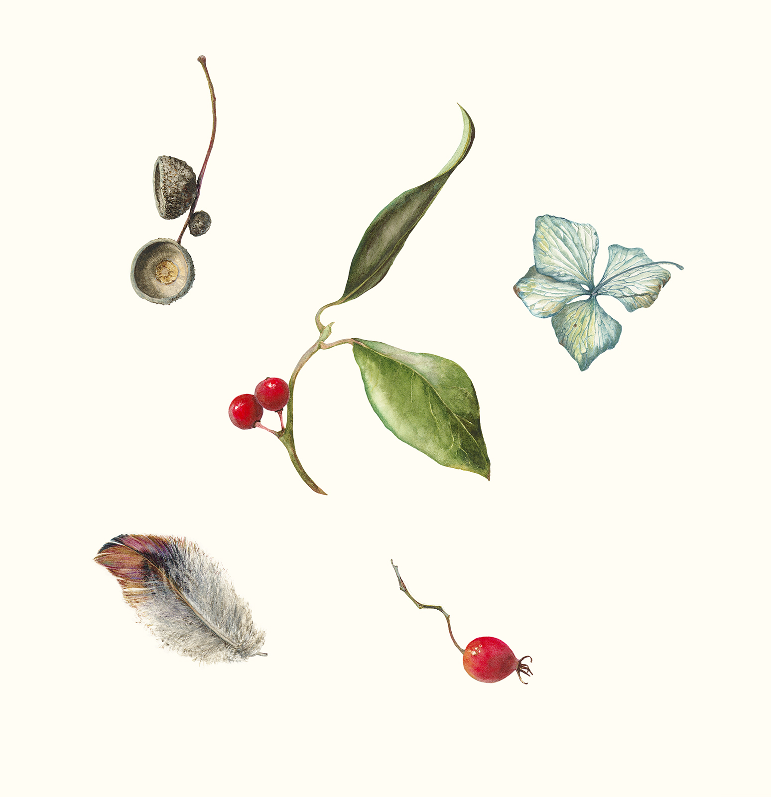 Winter treasures and holly