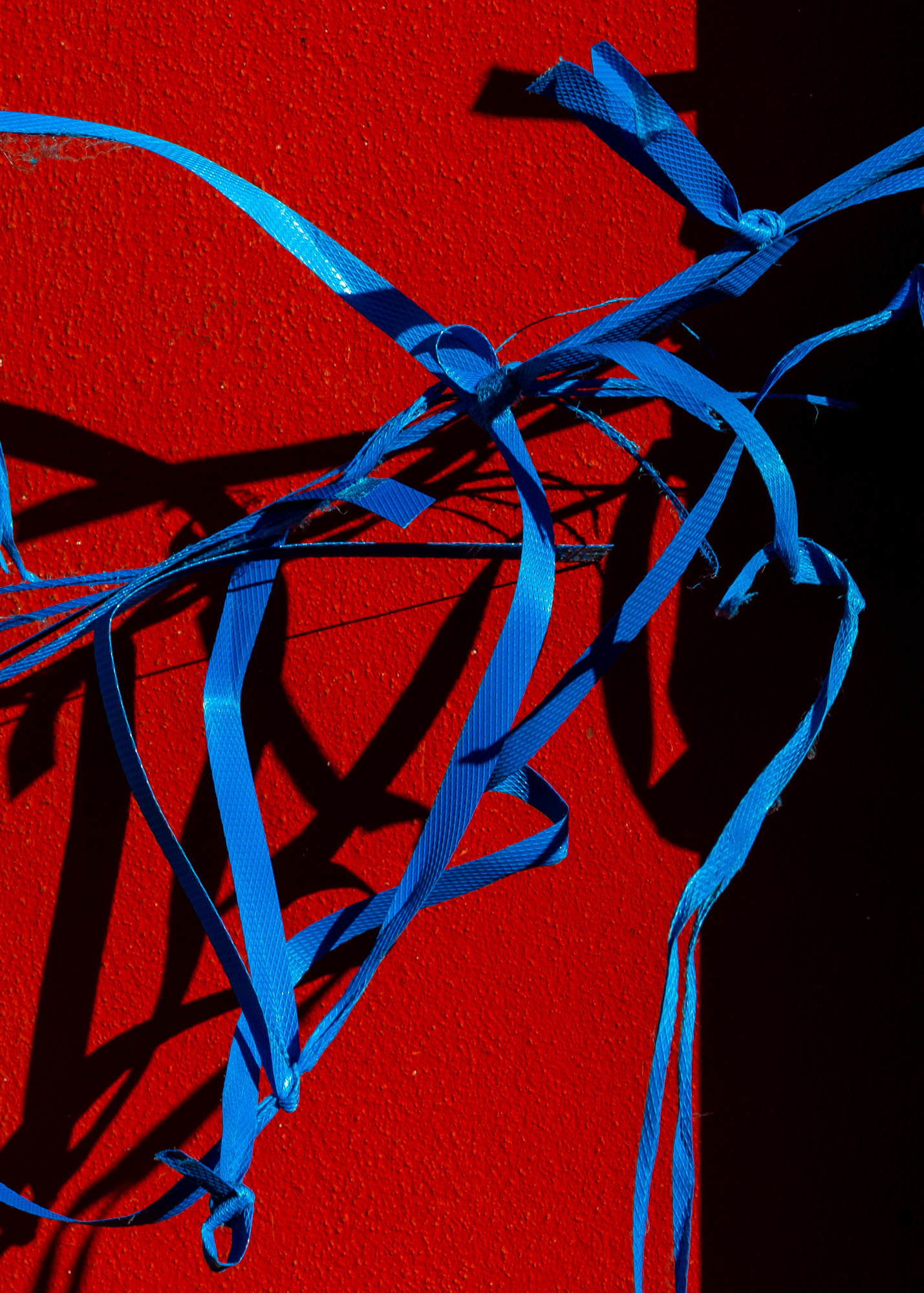2020. Archival Pigment Print, Hahnemühle Pearl, Mounted Aluminium, 100cm x 70cm - Edition of 10