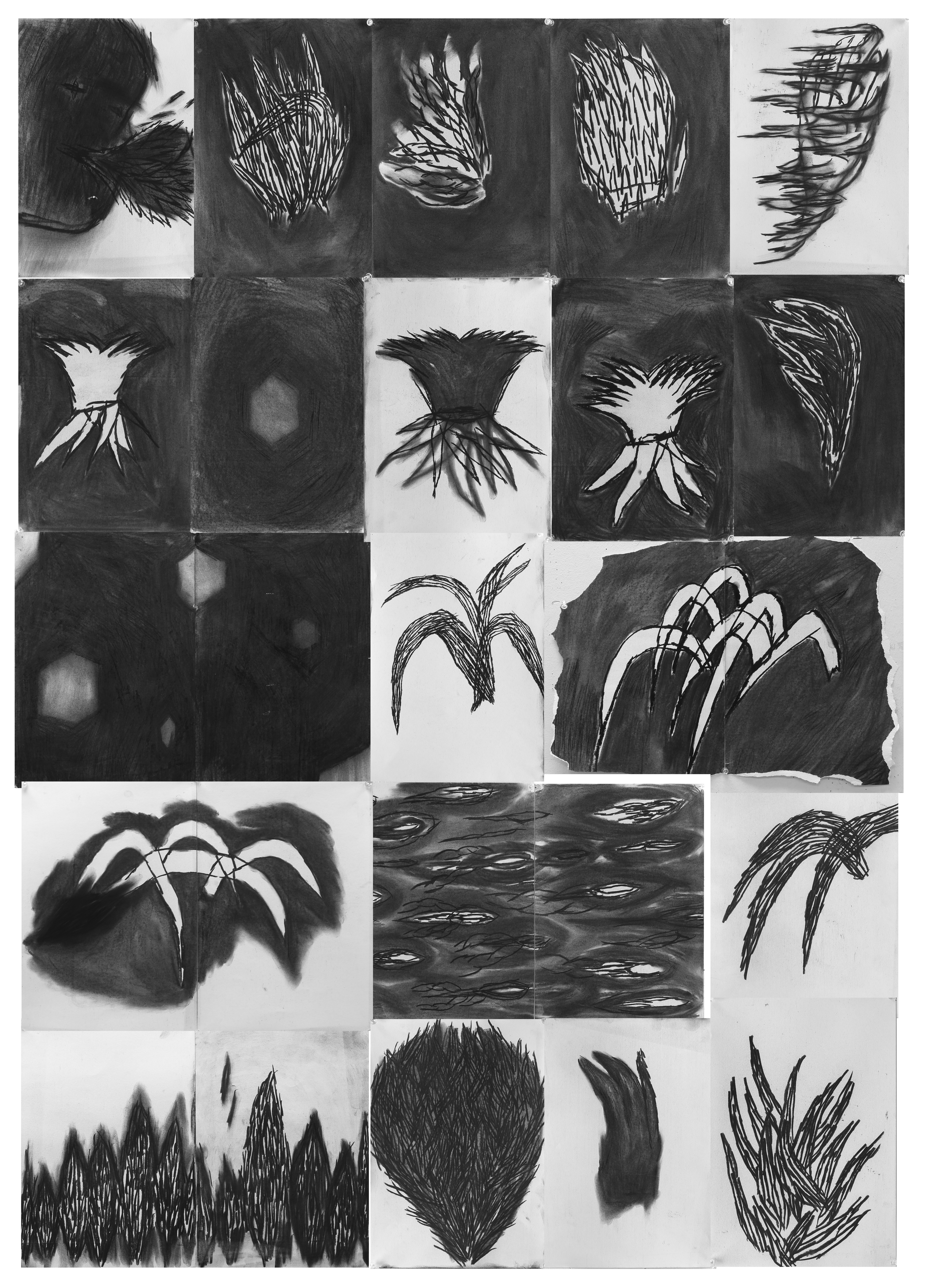 뿔 드로잉horn drawing_charcoal on paper_29x21cm_2014