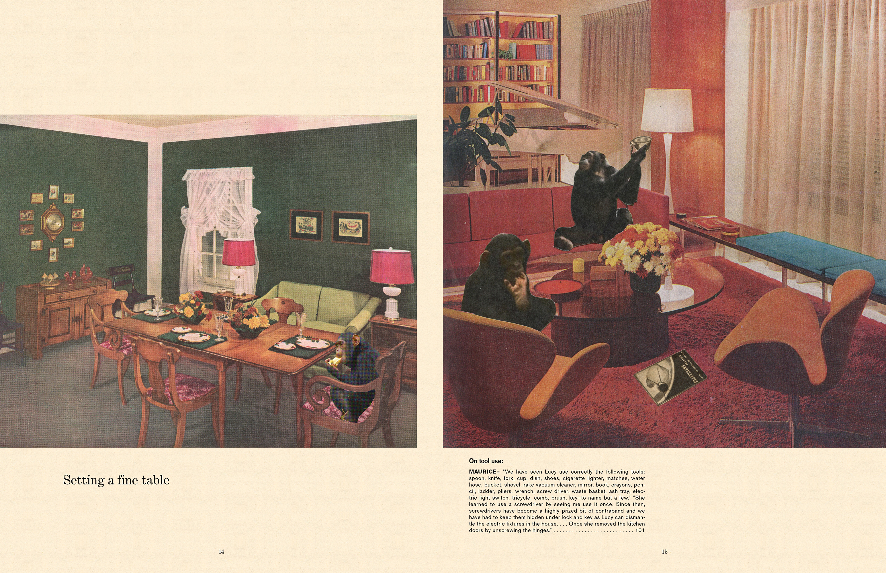 Spread from Dreambook Catalog for Lucy