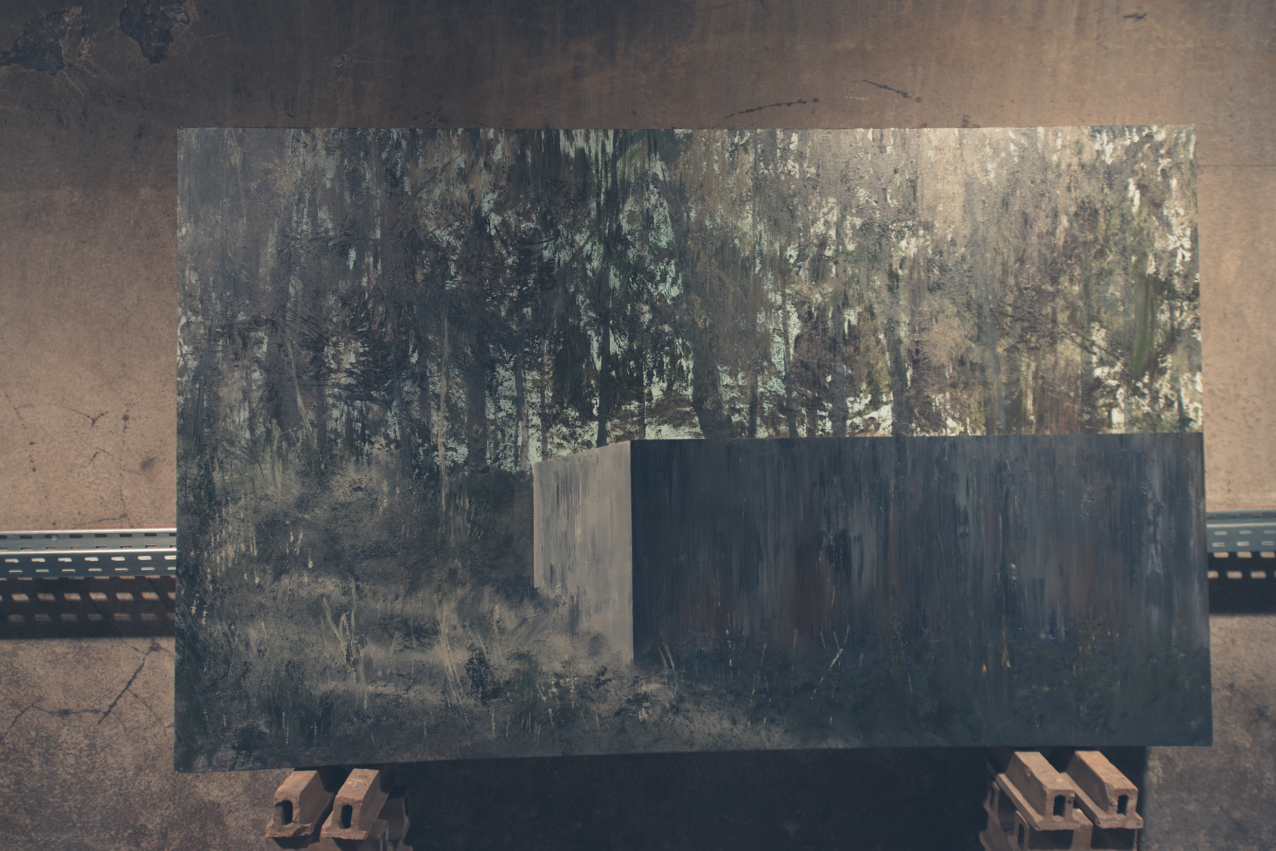 Loc - solo exhibition (2014) Uzina de Apă, Suceava [Romania]