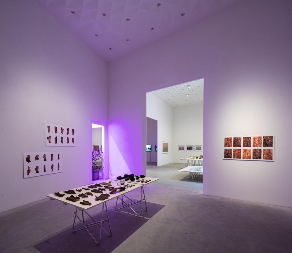 2. Artistiek Luik: The Sustainist Gaze