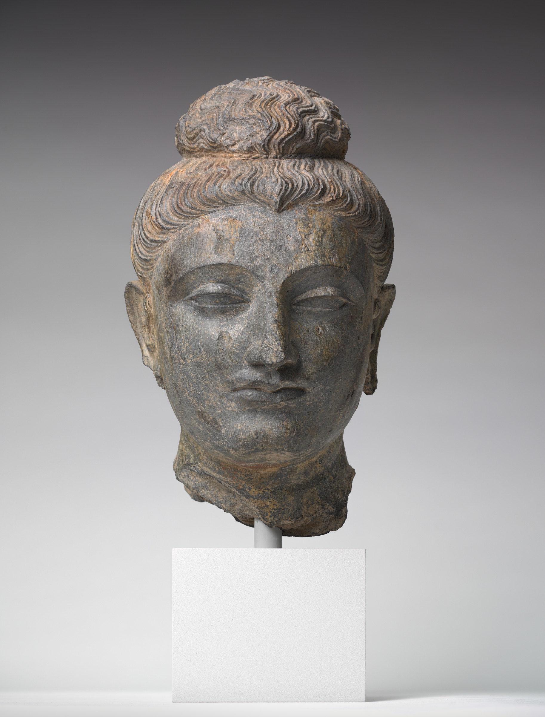 harvard-art-museums-digital-gandhara