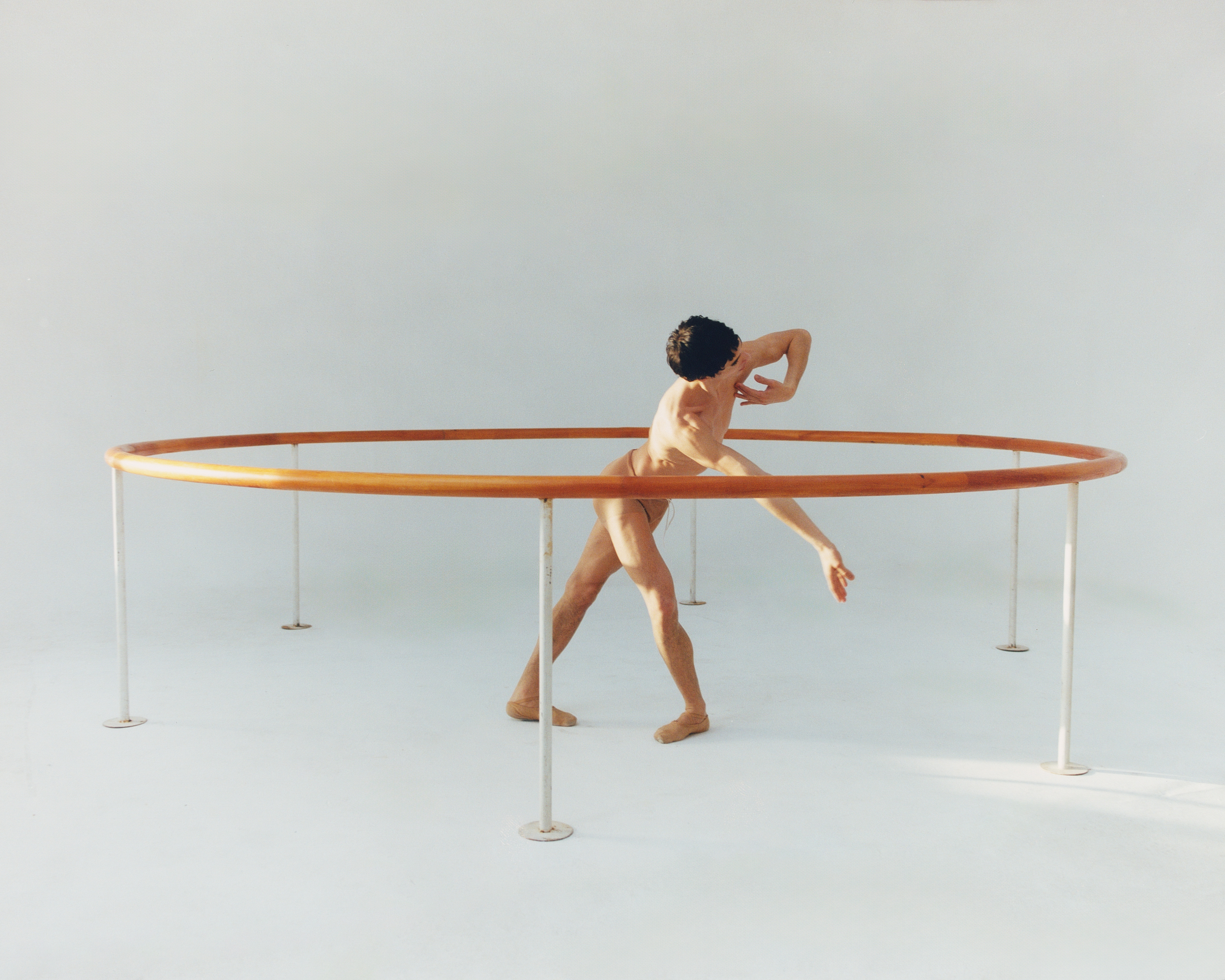 for Dandelion by Christian Colomer