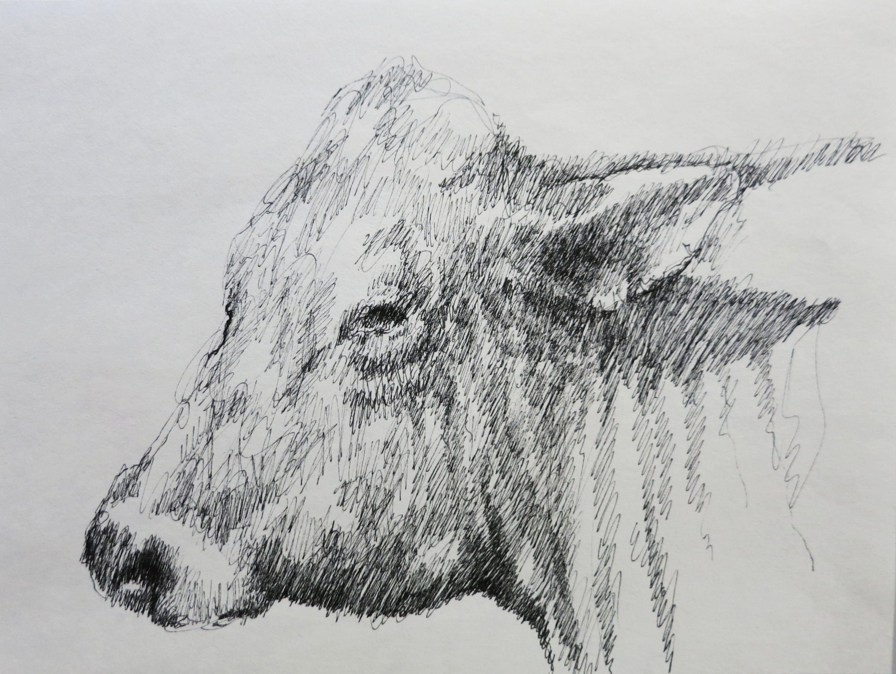  Ink on paper &ndash; 11&rdquo; x 8&rdquo; 