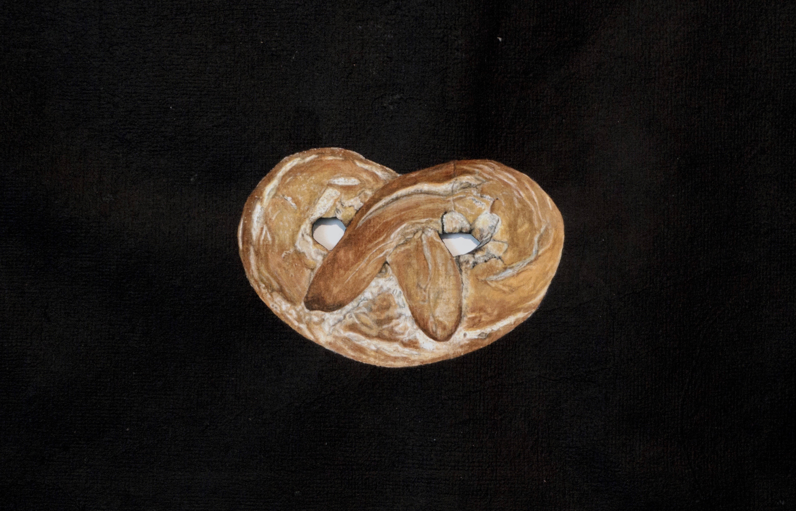 Akina Cox and the Holy TrinityCommonwealth & Council, January 11 - February 1, 2014