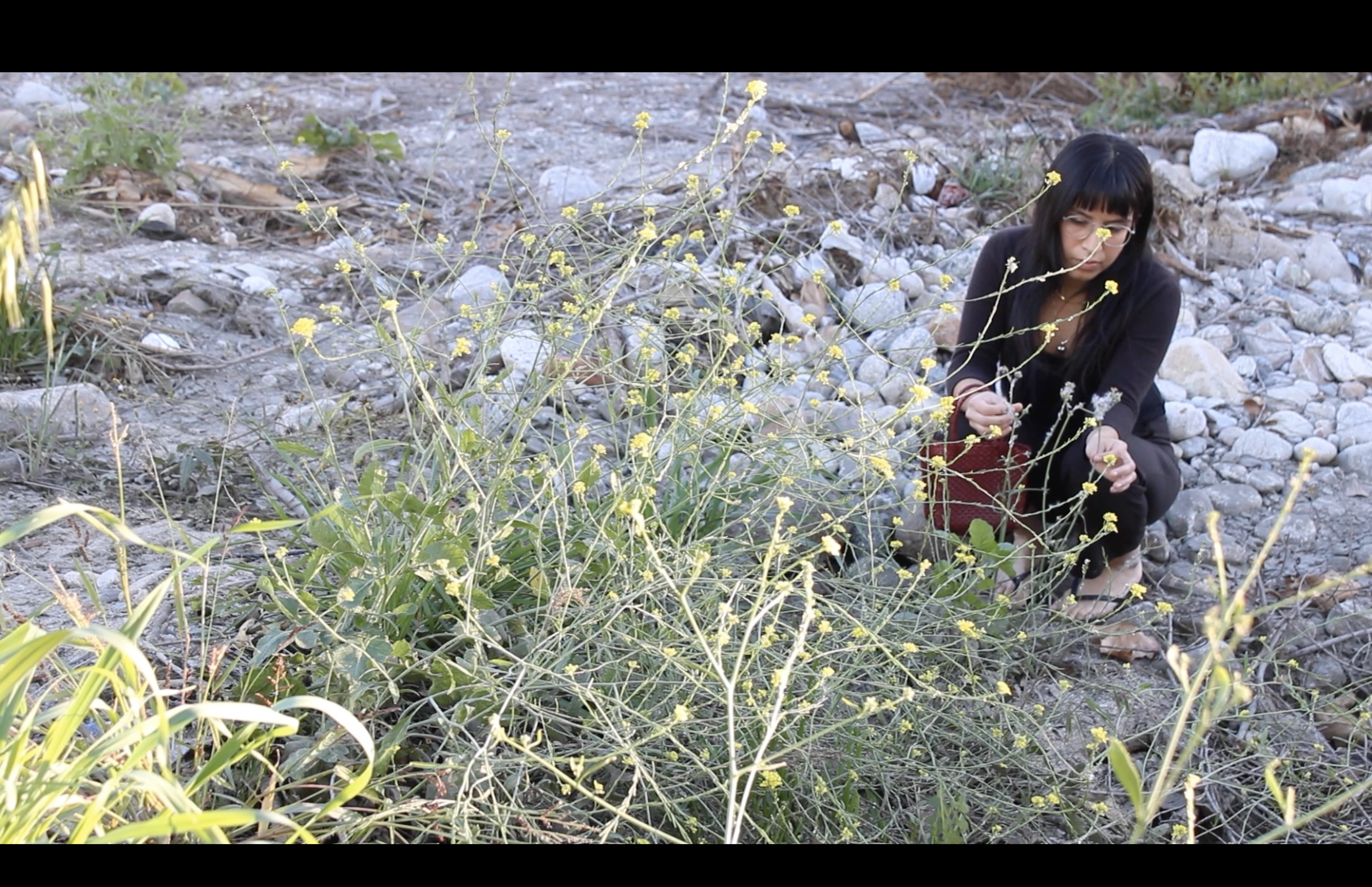 Katie Mejía, Roots
