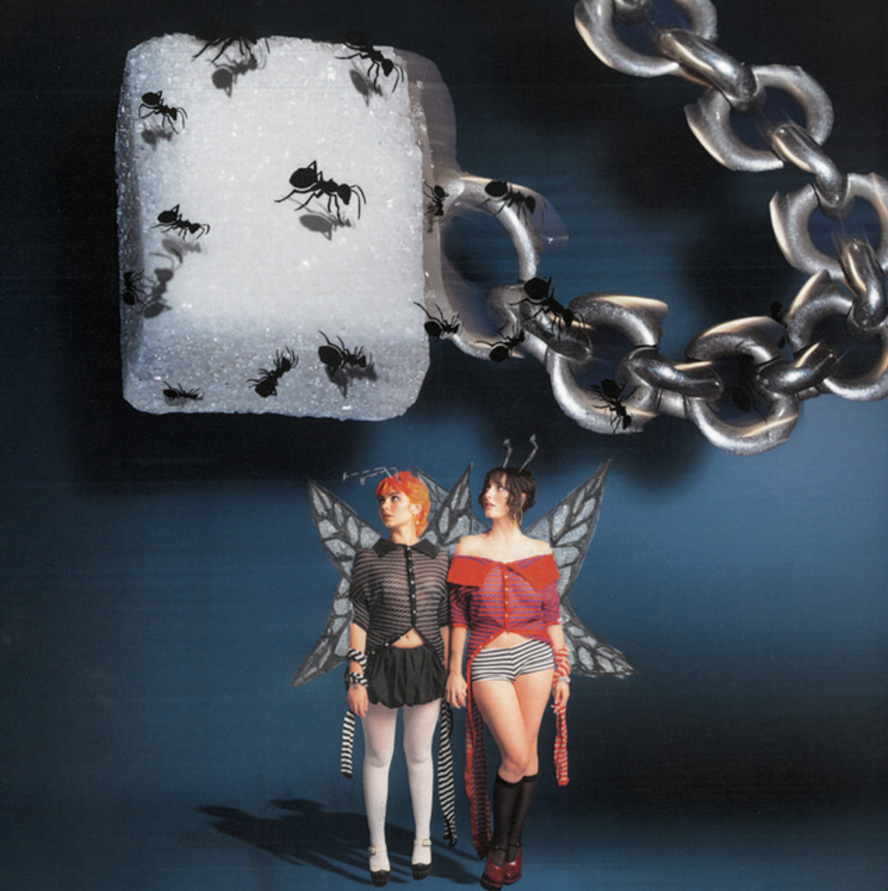 40% / The Army, The Navy