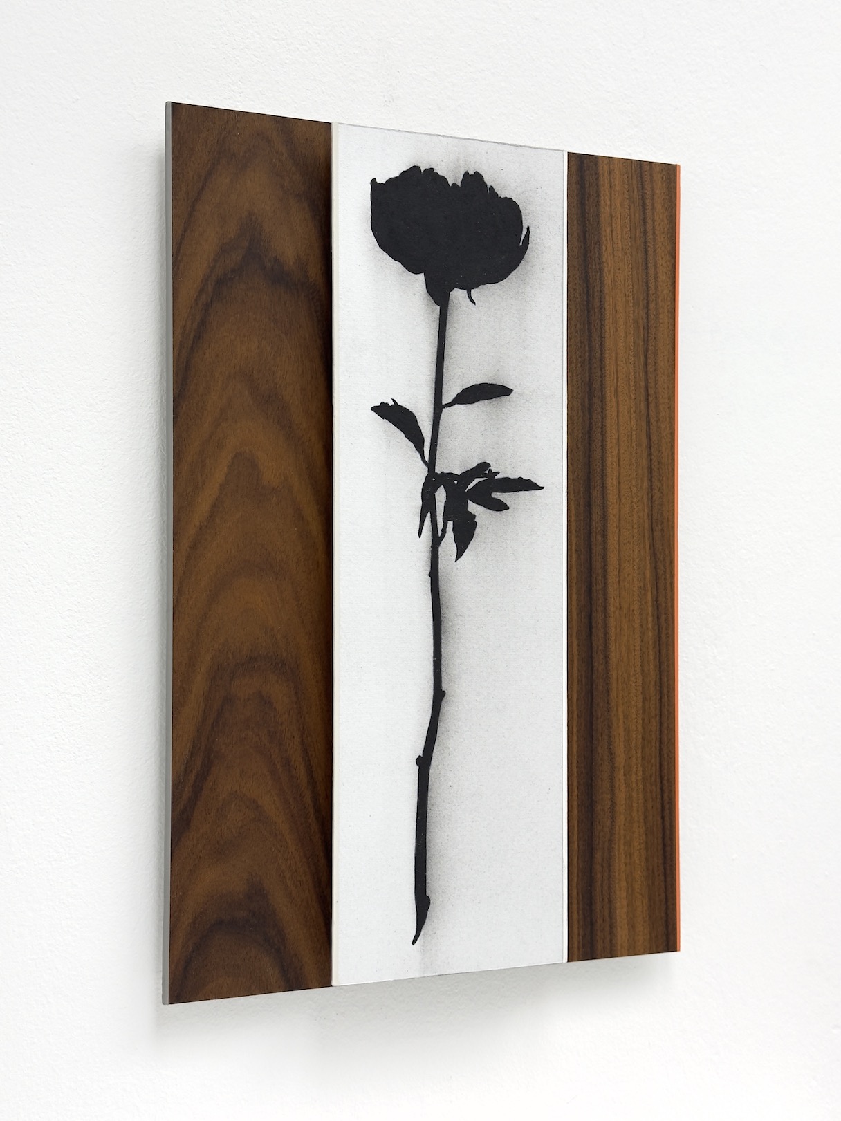 ‘Framing the elegancies of growth’, 2024, conté pencil, acrylic, alkyd and oil on paper/aluminium and Palissander wood veneer/aluminium, 30 x 20 cm.