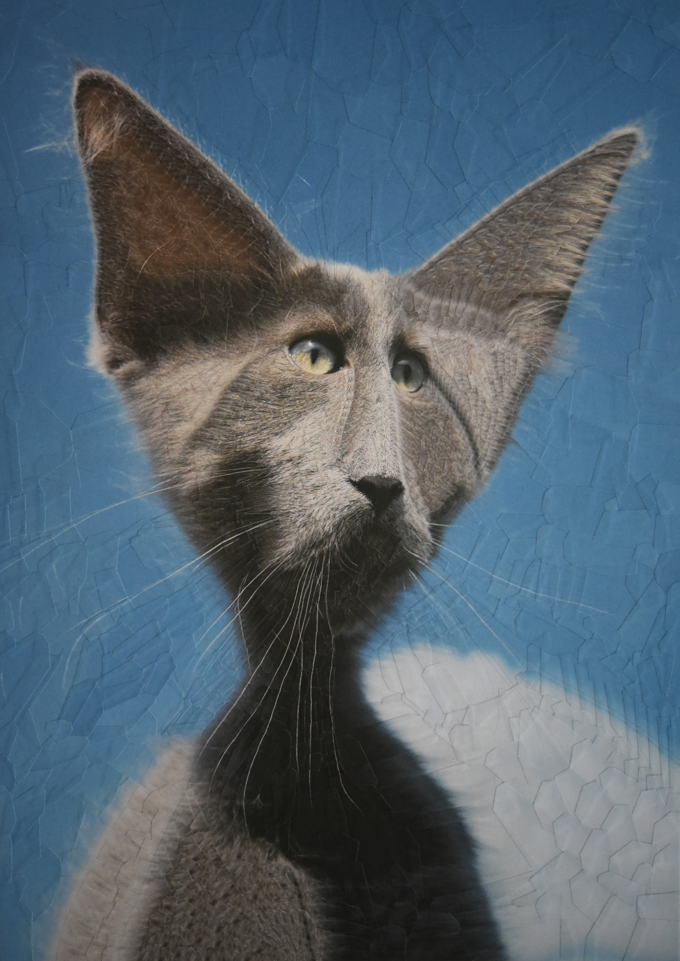 Ayla, 2020, 8.2 x 11.6 inches