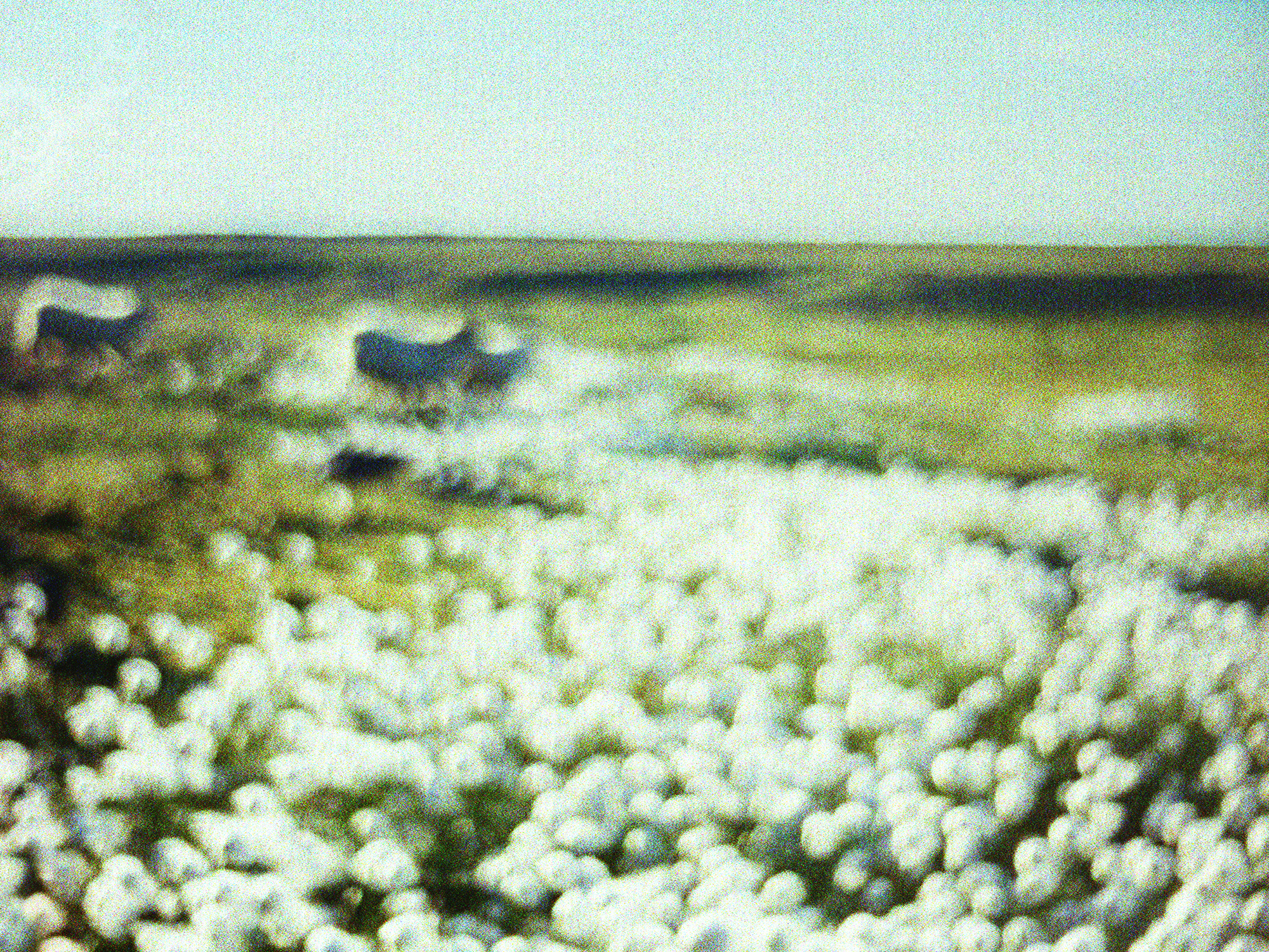 Karahnjukar 001, 2006. Lightprint and plexyglass. h: 15 x w: 20 in.