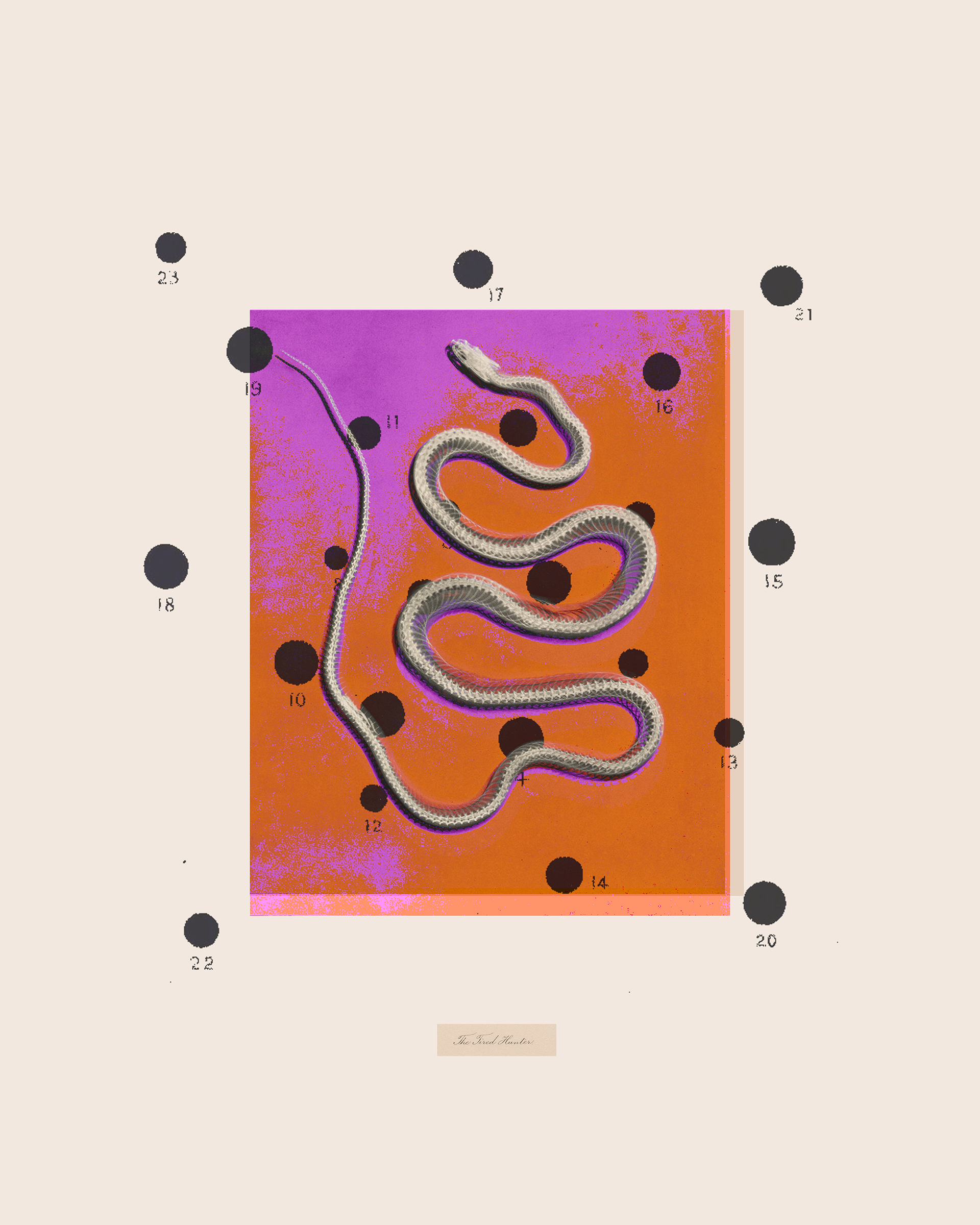 364. snek in pink and orange 22.12.24